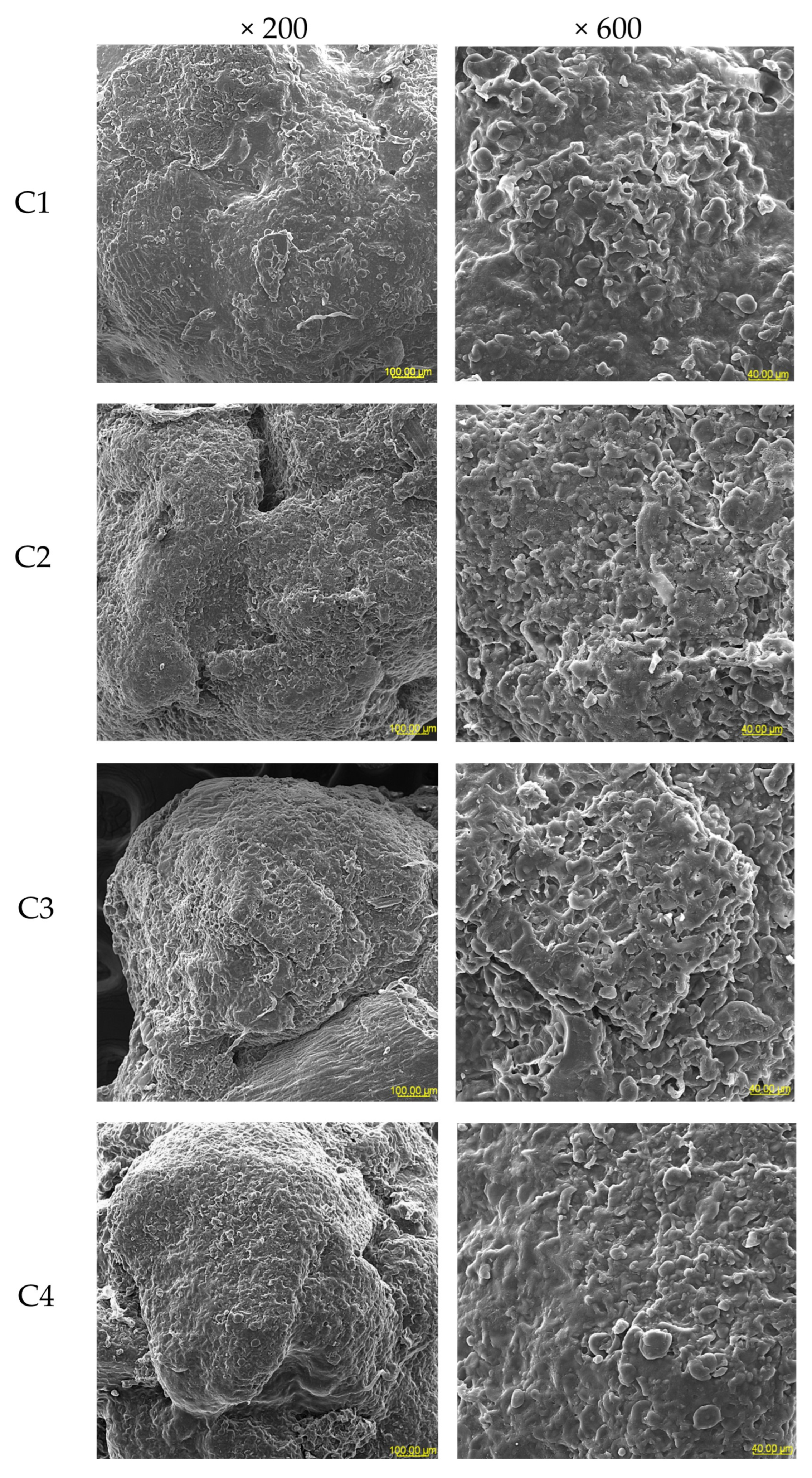 Applsci 15 07418 g005