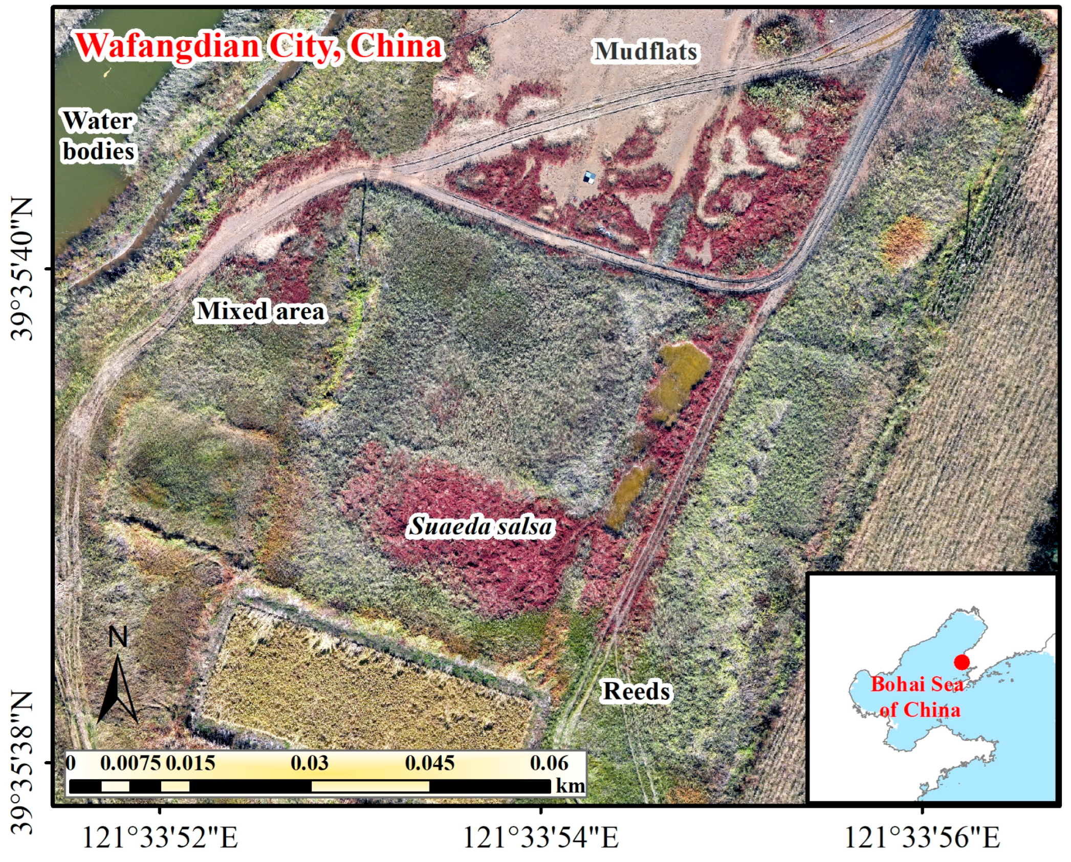 Applsci 15 07423 g001