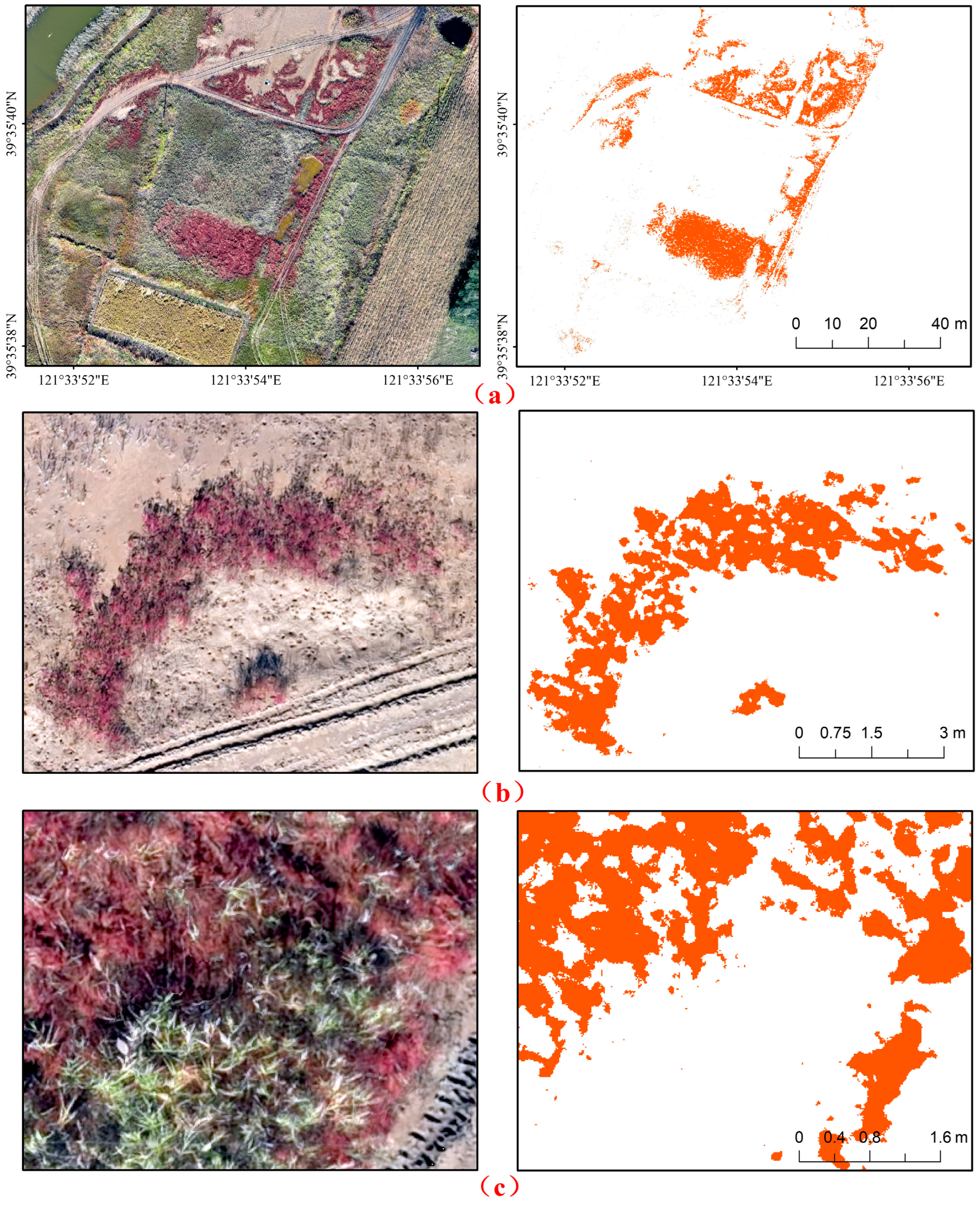 Applsci 15 07423 g007