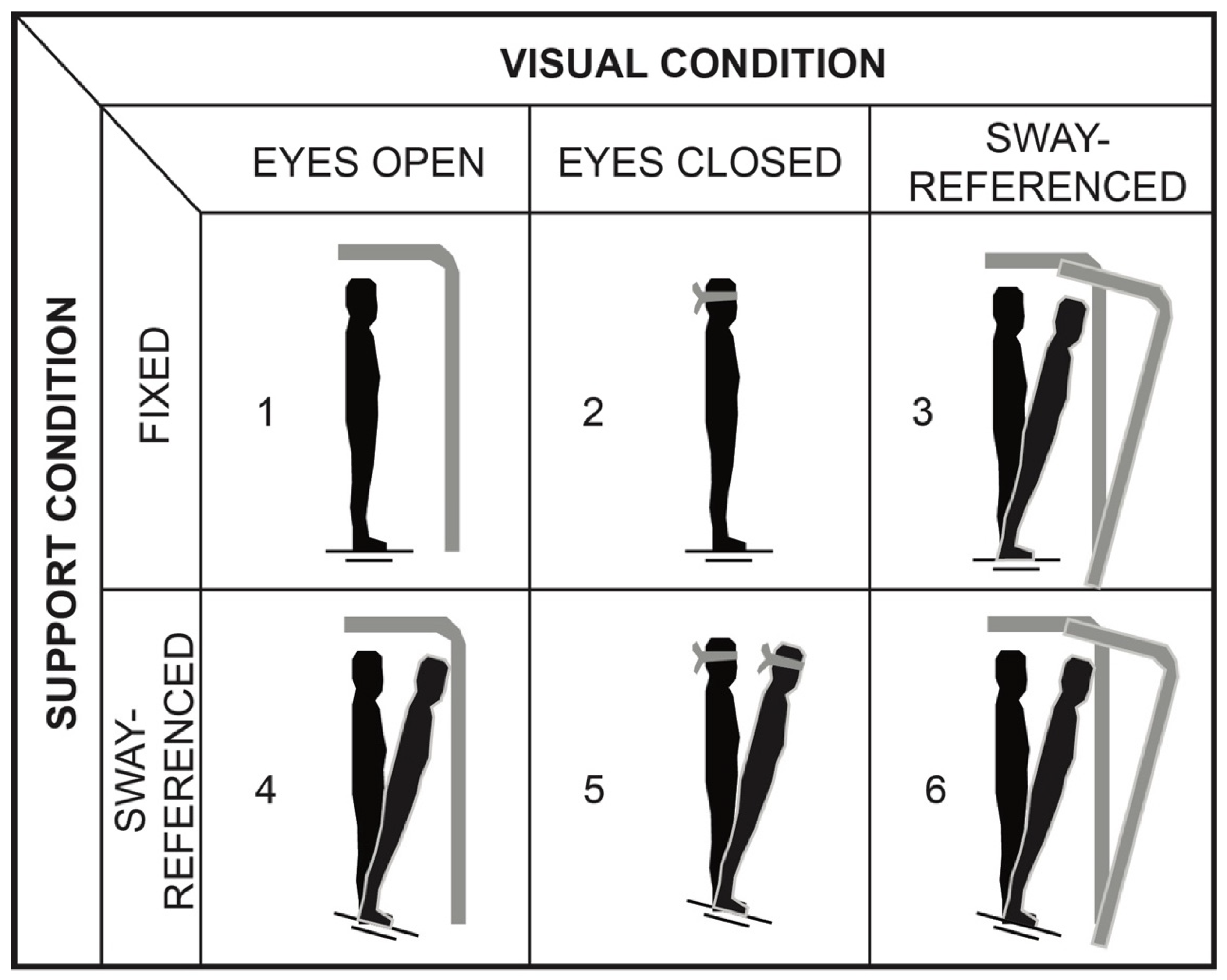 Applsci 15 07458 g001