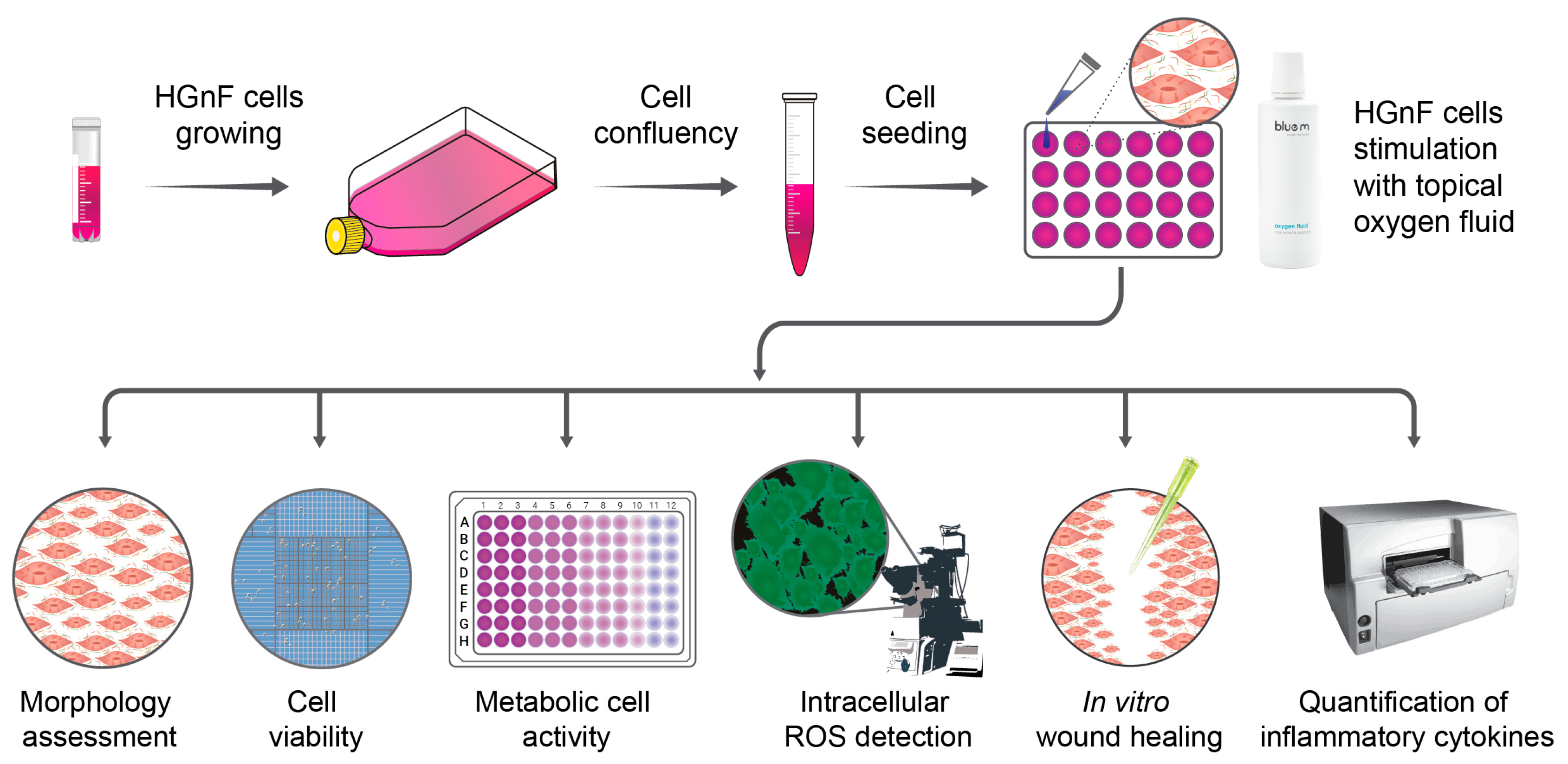 Applsci 15 07459 g001