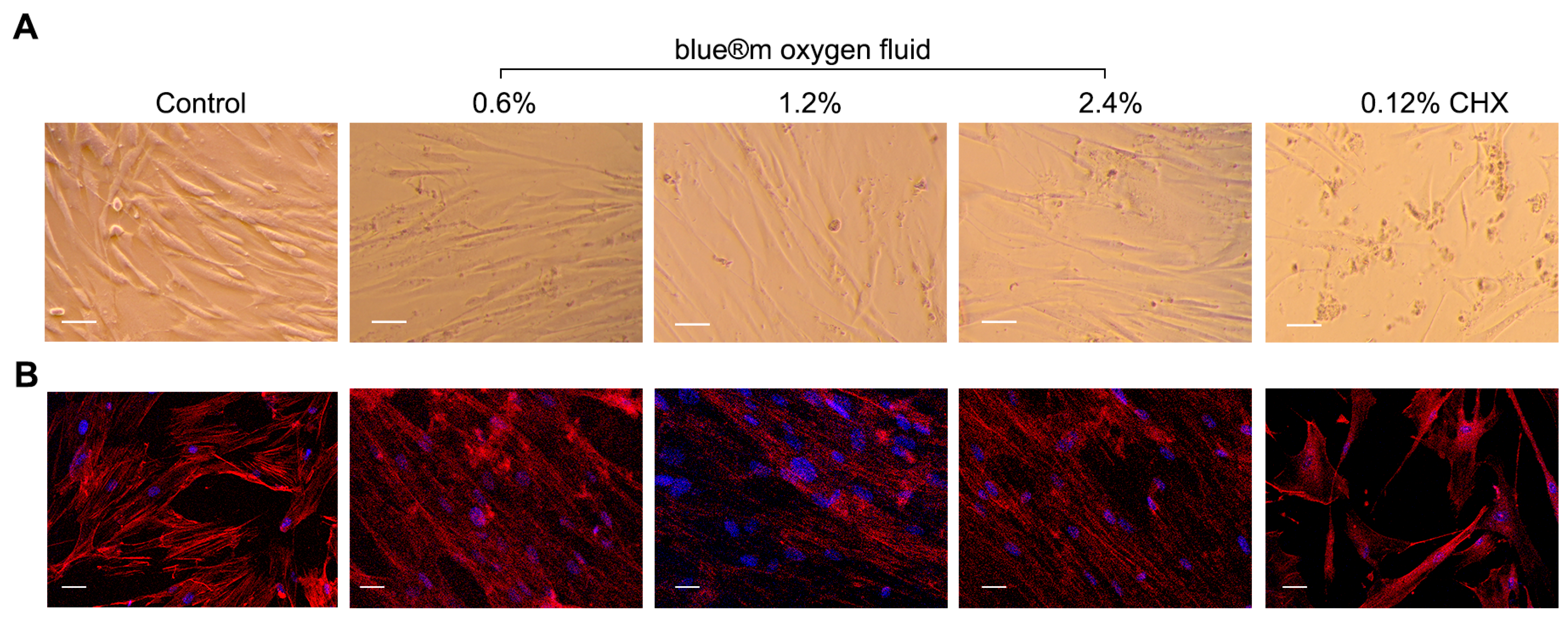 Applsci 15 07459 g002