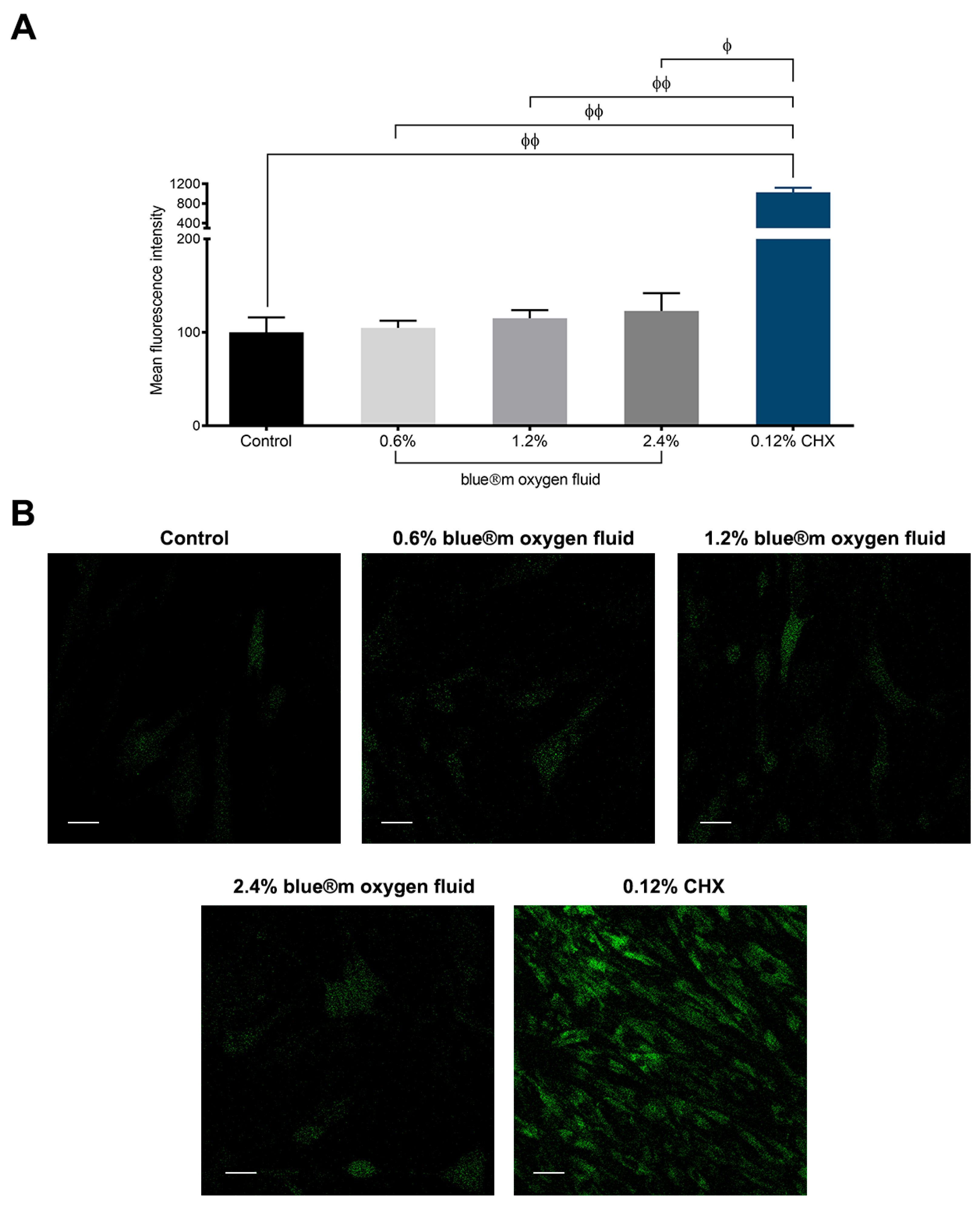 Applsci 15 07459 g006