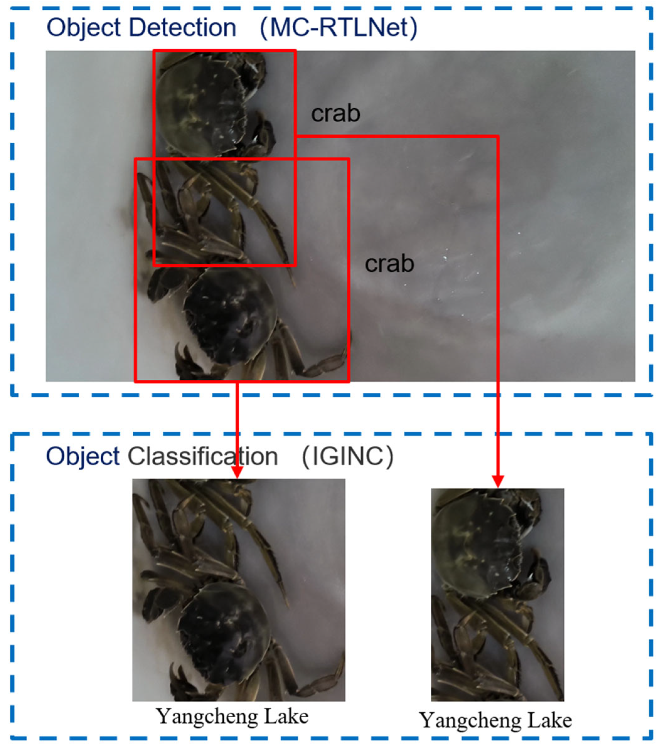 Applsci 15 07468 g001