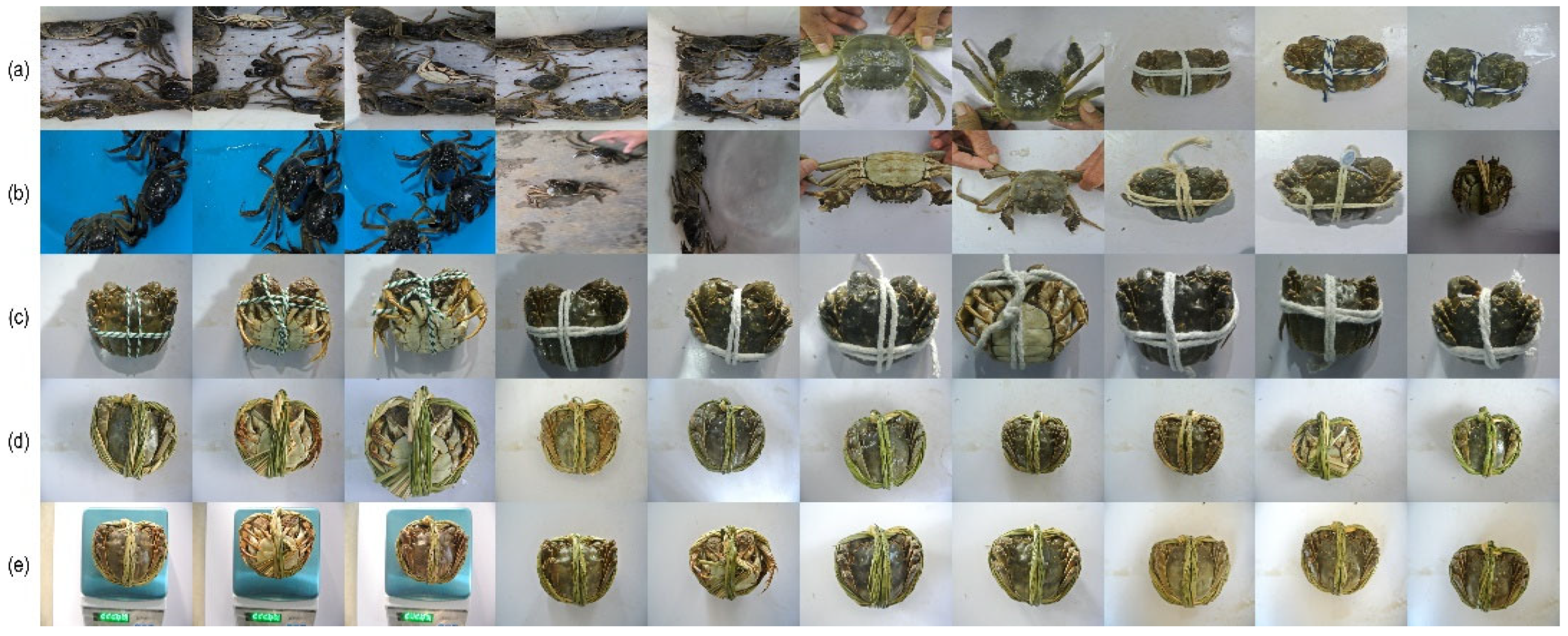 Applsci 15 07468 g009