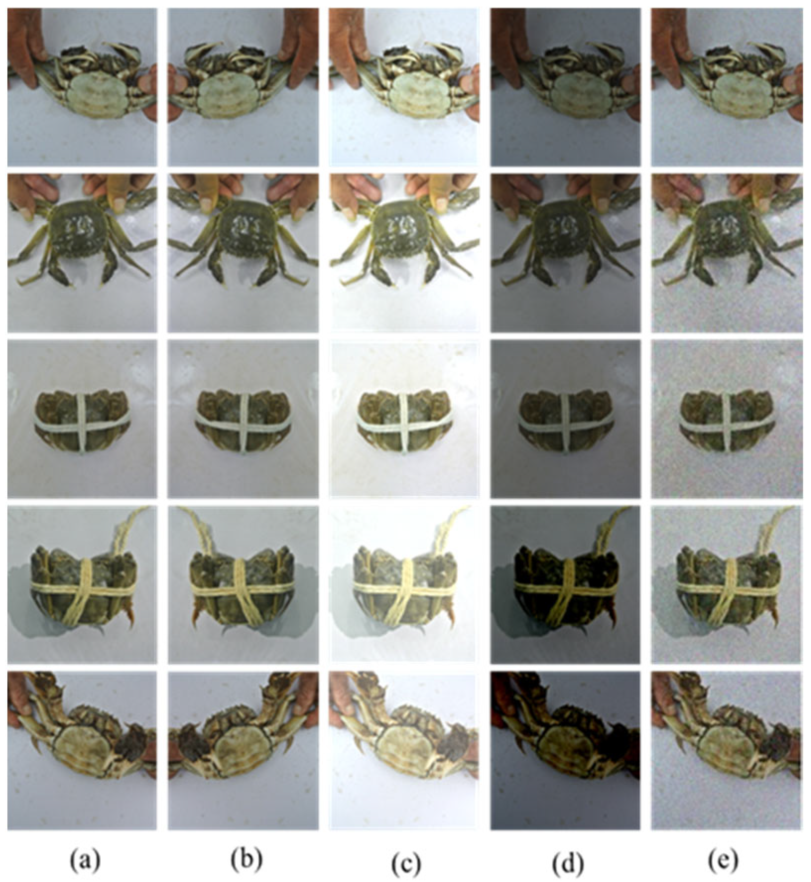 Applsci 15 07468 g010