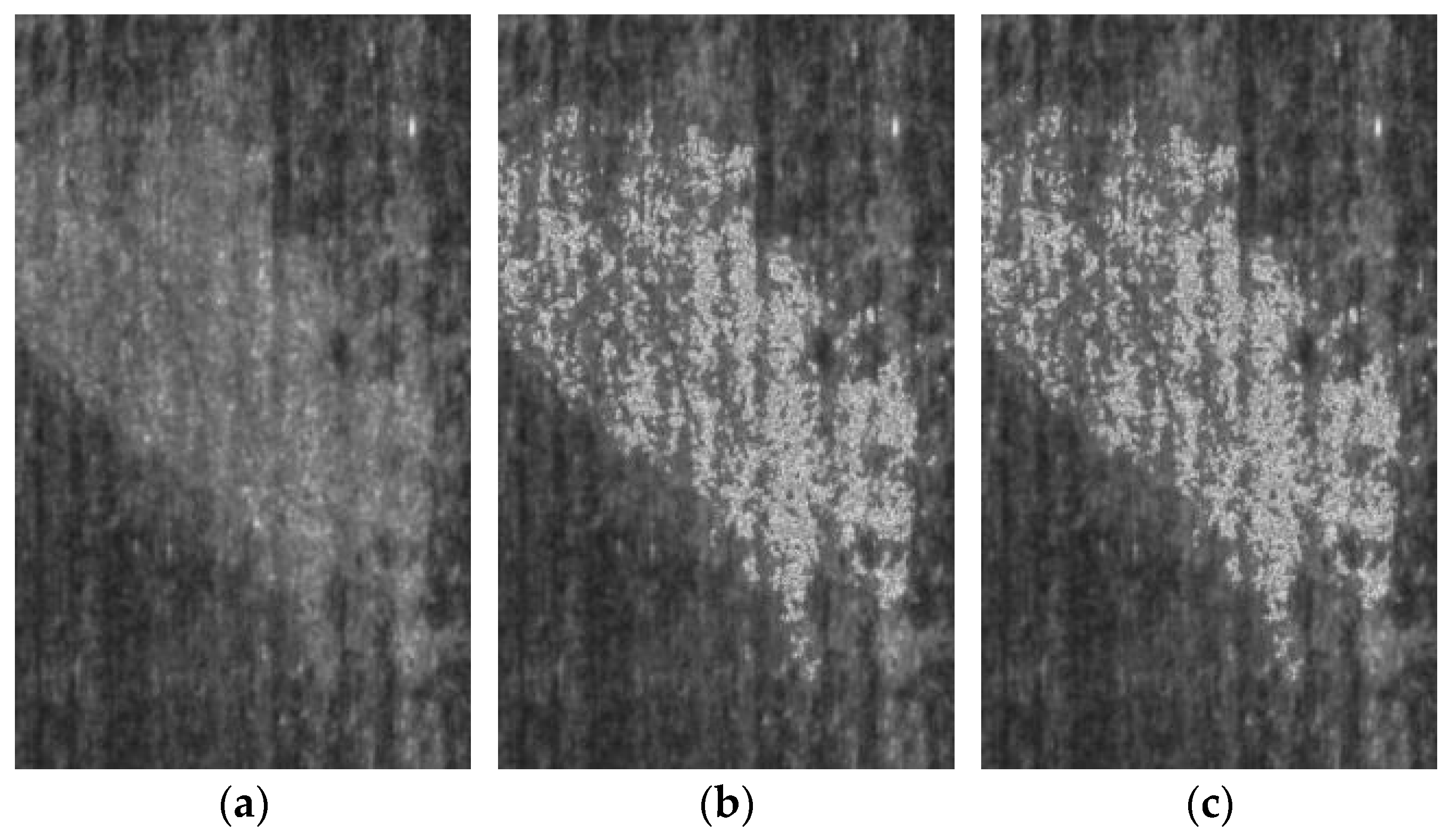 Applsci 15 07478 g004