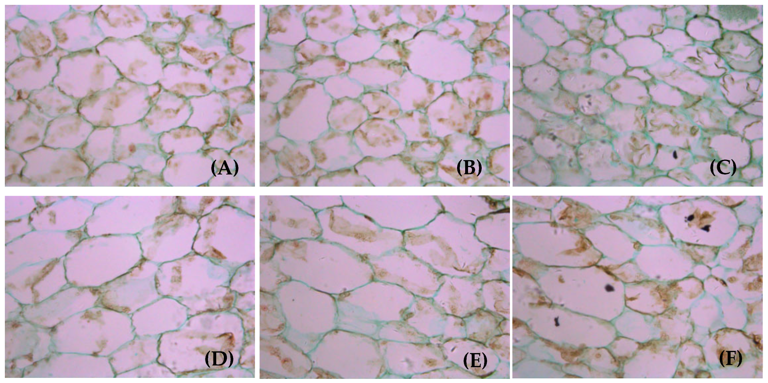 Applsci 15 07523 g010