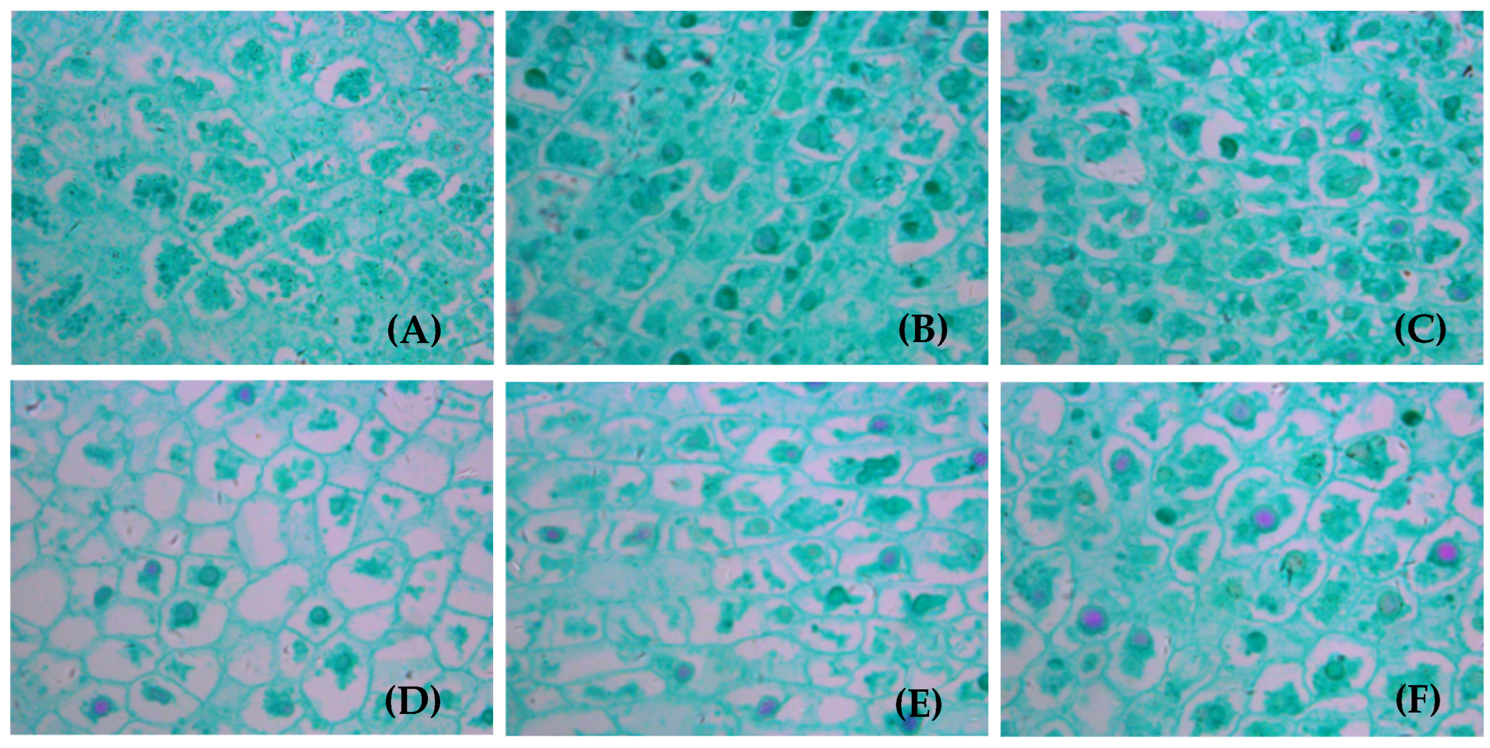 Applsci 15 07523 g011