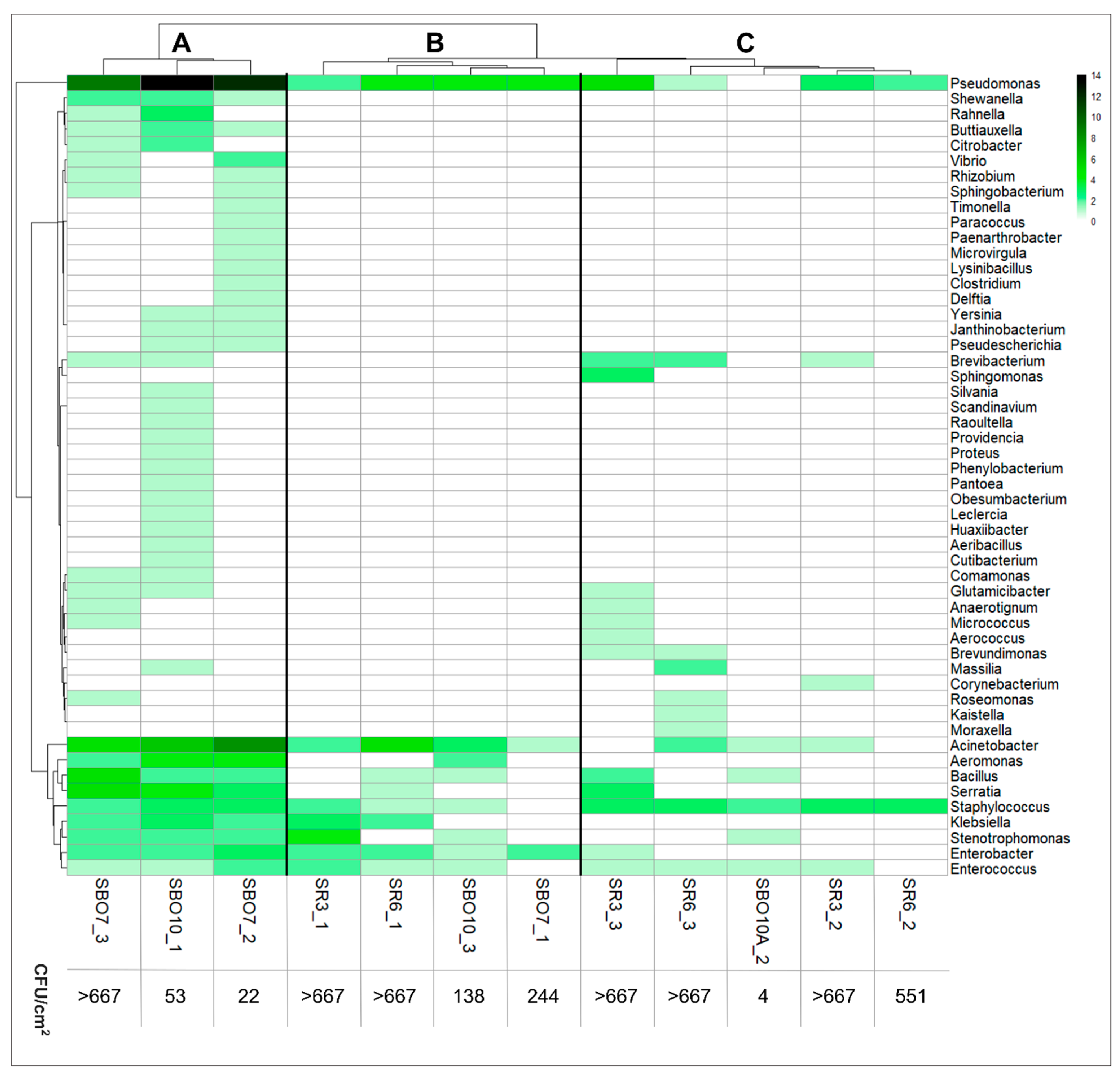 Applsci 15 07545 g002