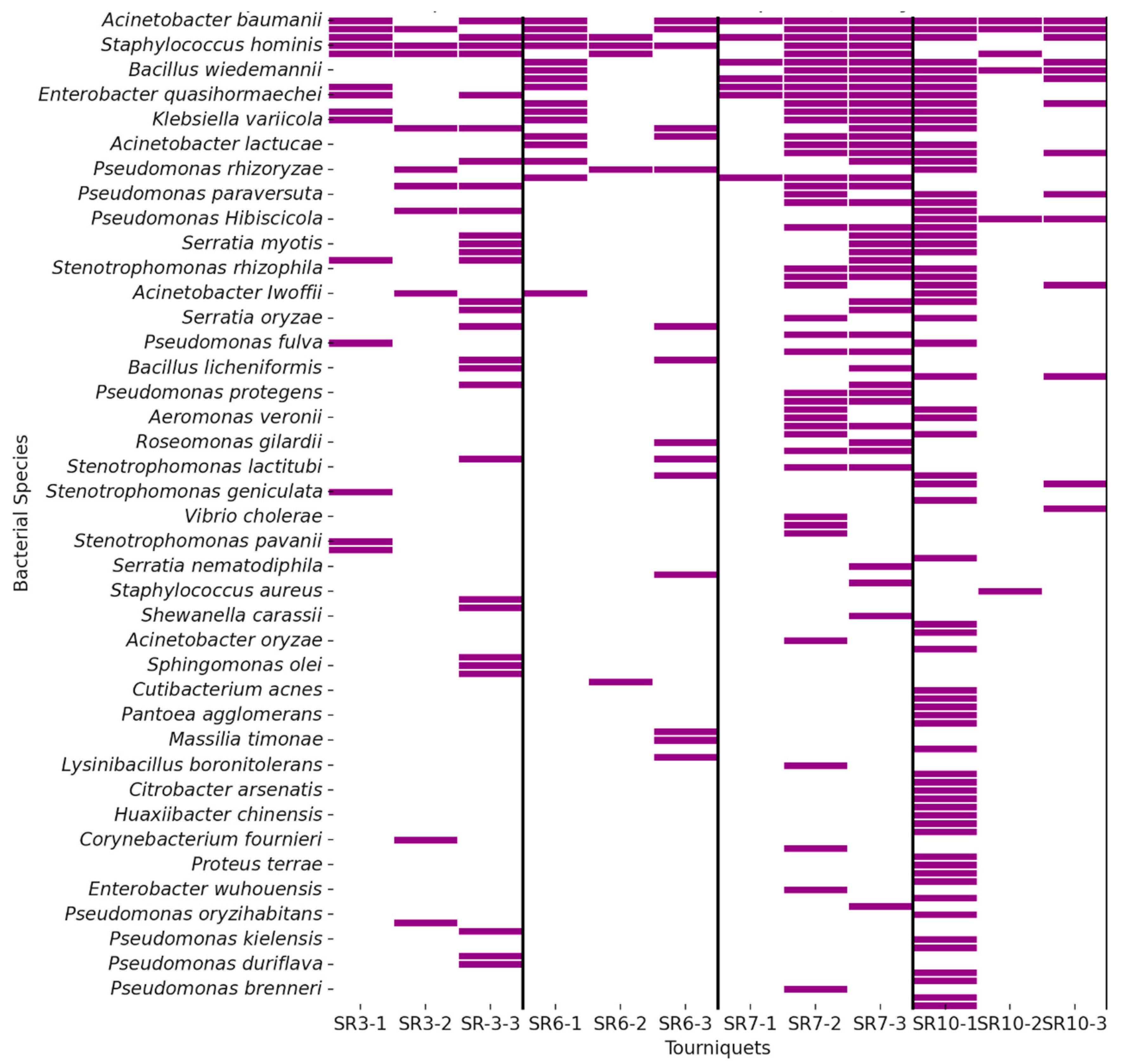 Applsci 15 07545 g003