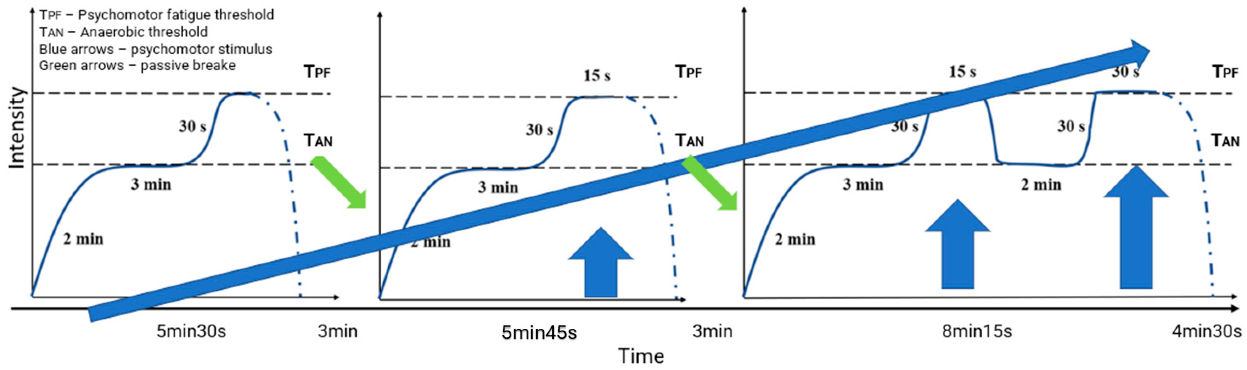 Applsci 15 07550 g001