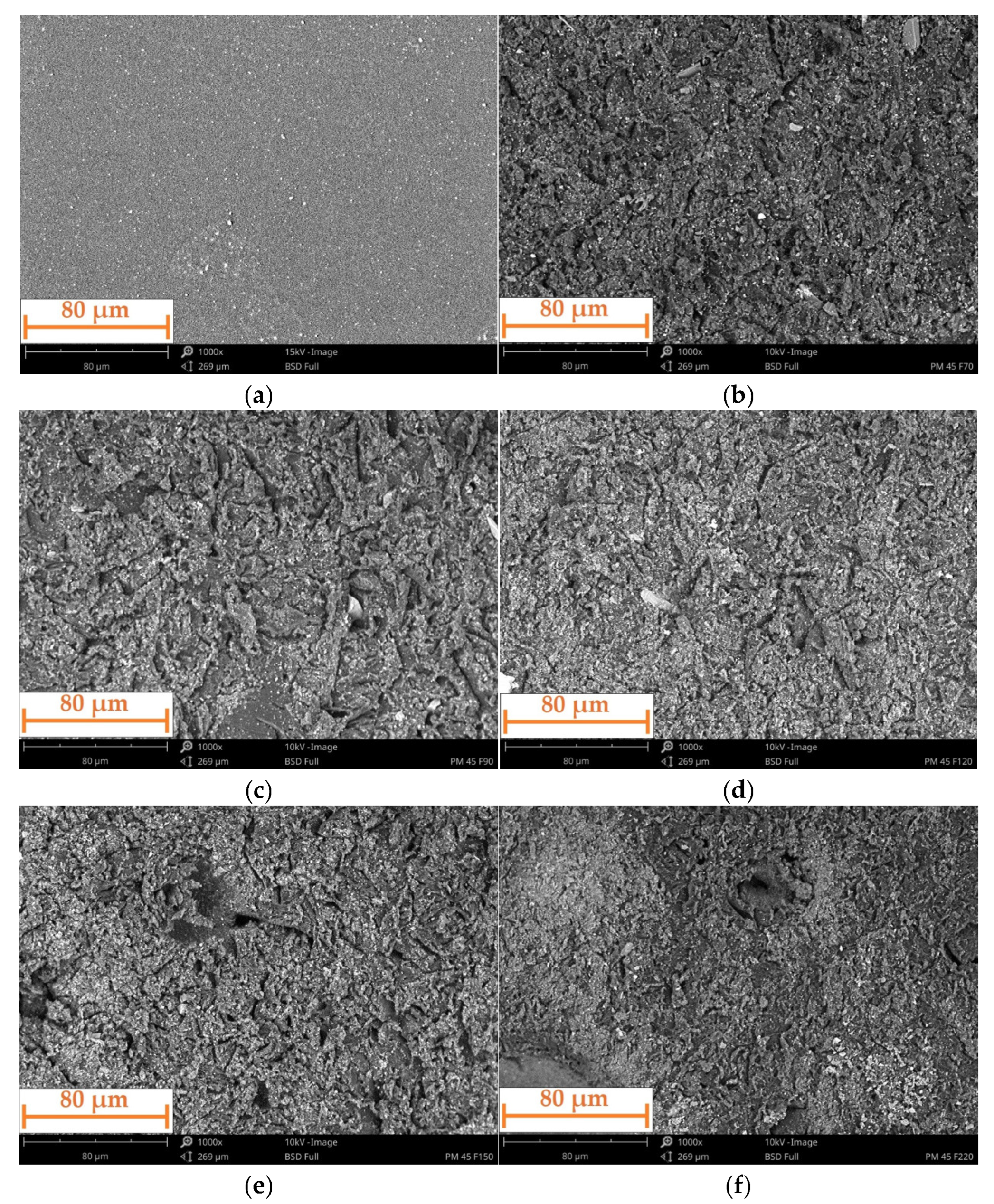 Applsci 15 07568 g009