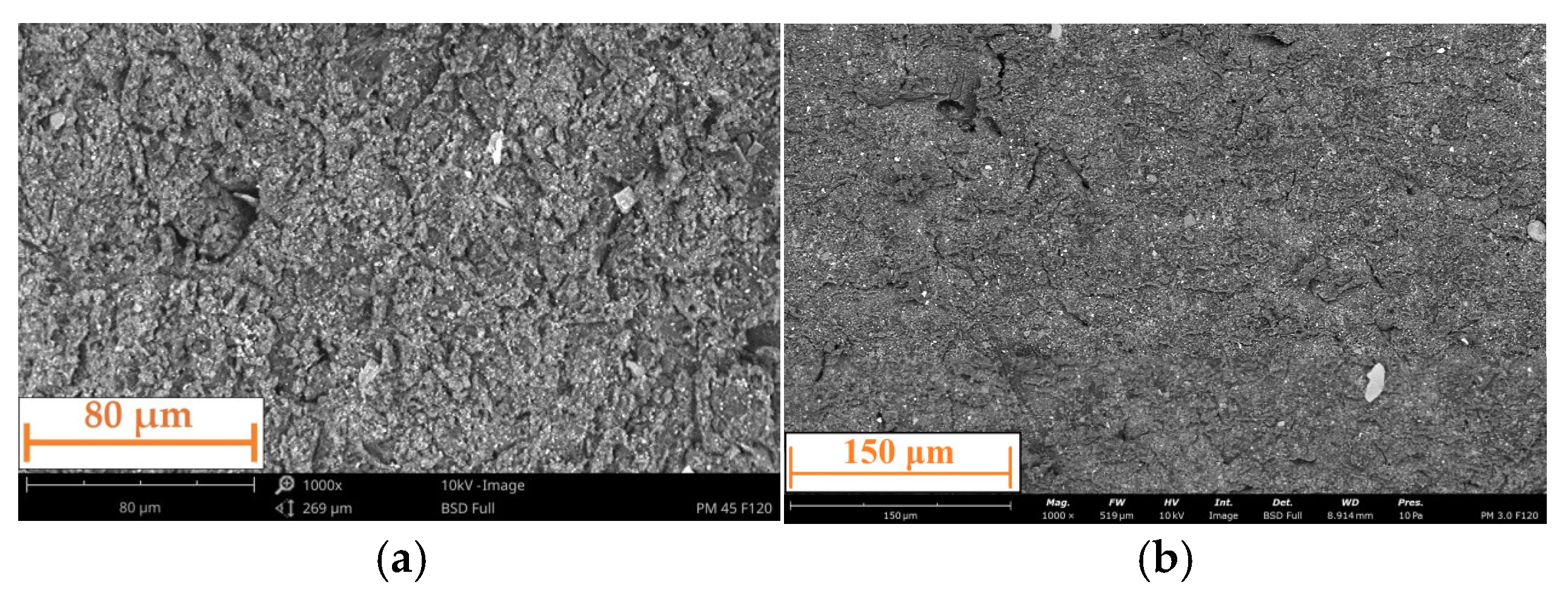 Applsci 15 07568 g012