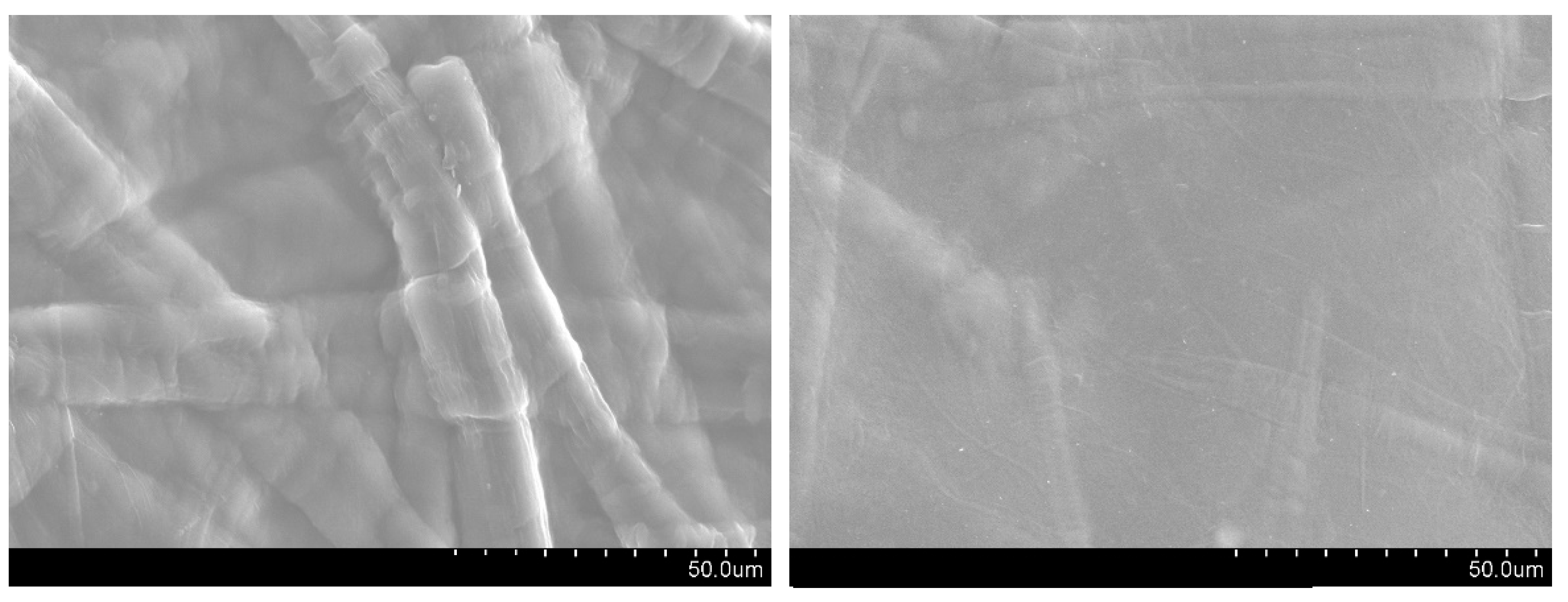 Applsci 15 07576 g008