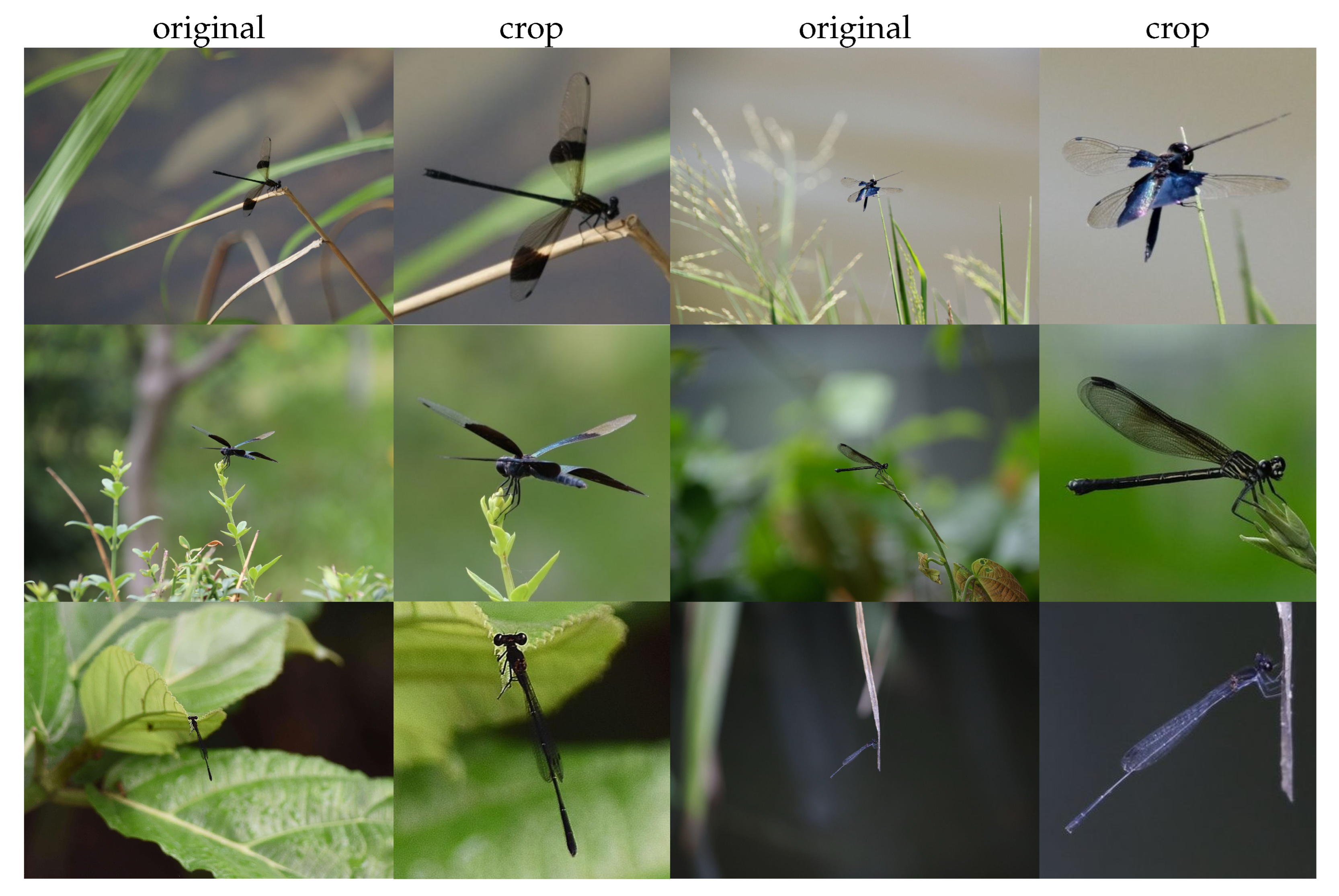 Applsci 15 07598 g002