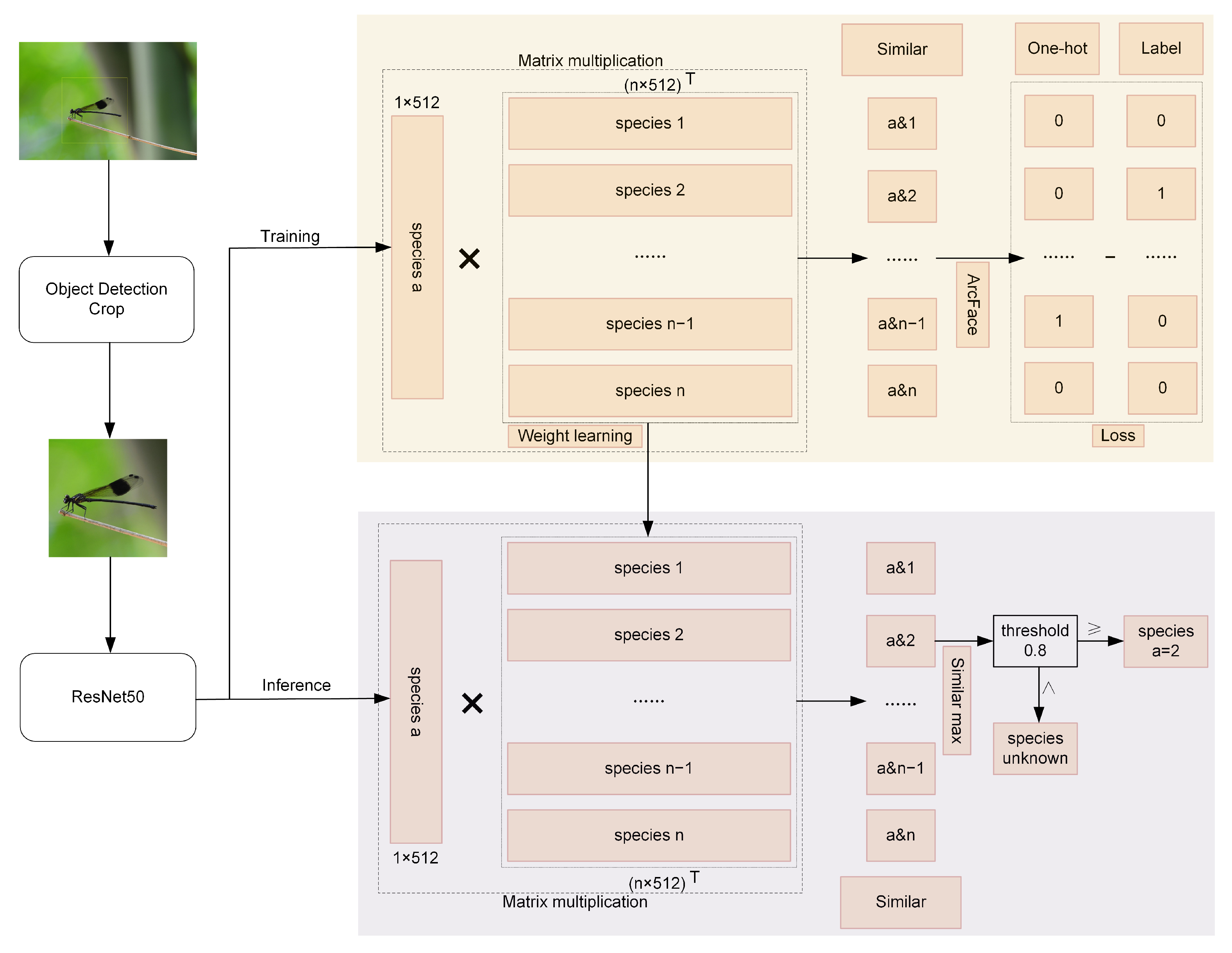 Applsci 15 07598 g003