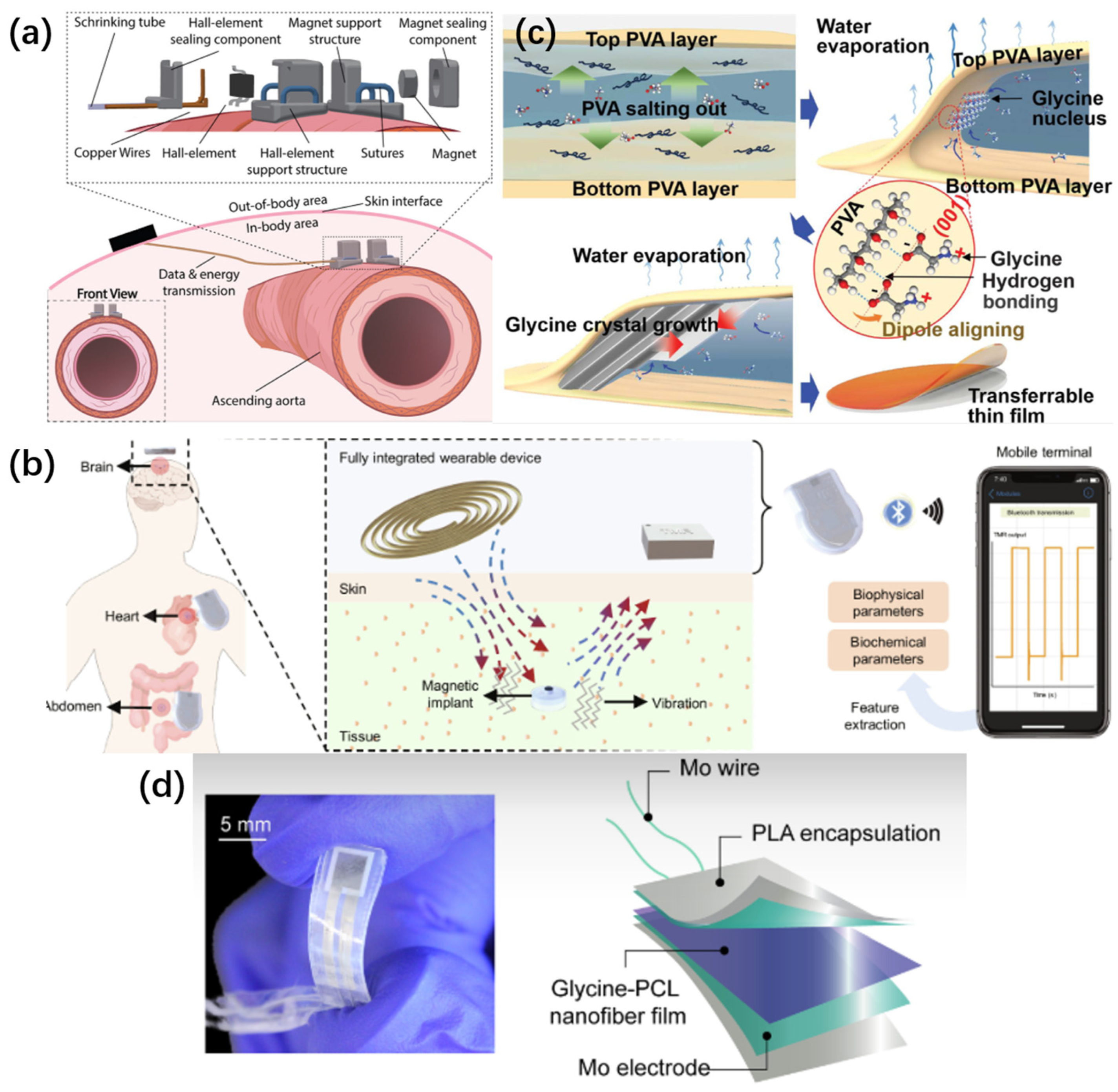Applsci 15 07599 g001