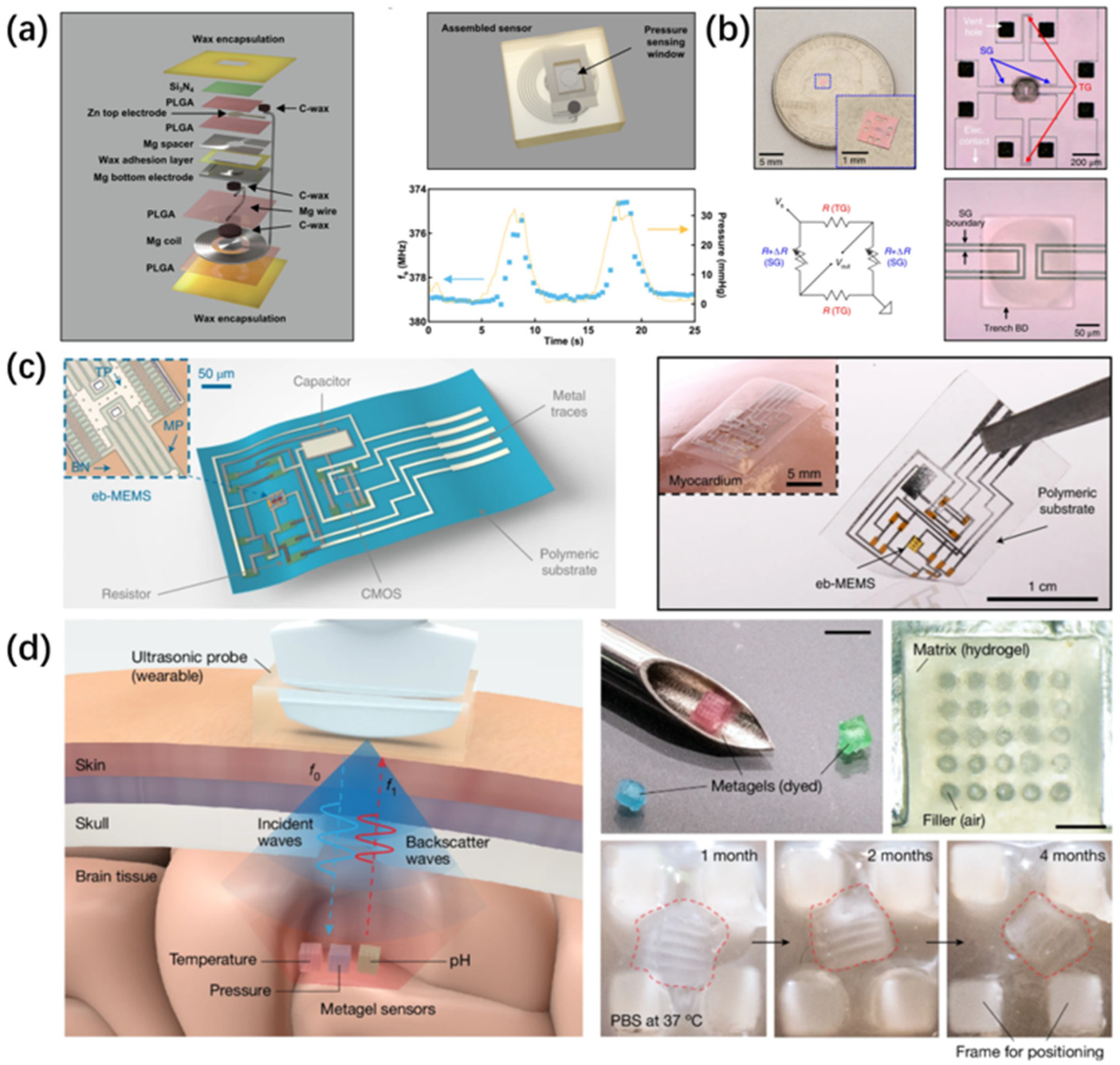 Applsci 15 07599 g004
