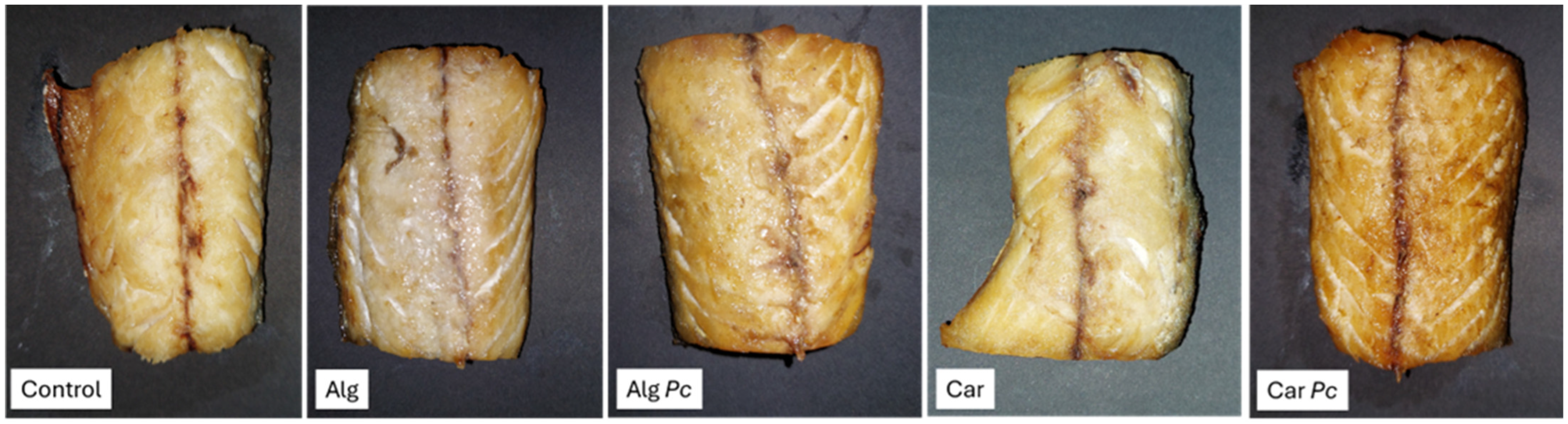 Applsci 15 07623 g003