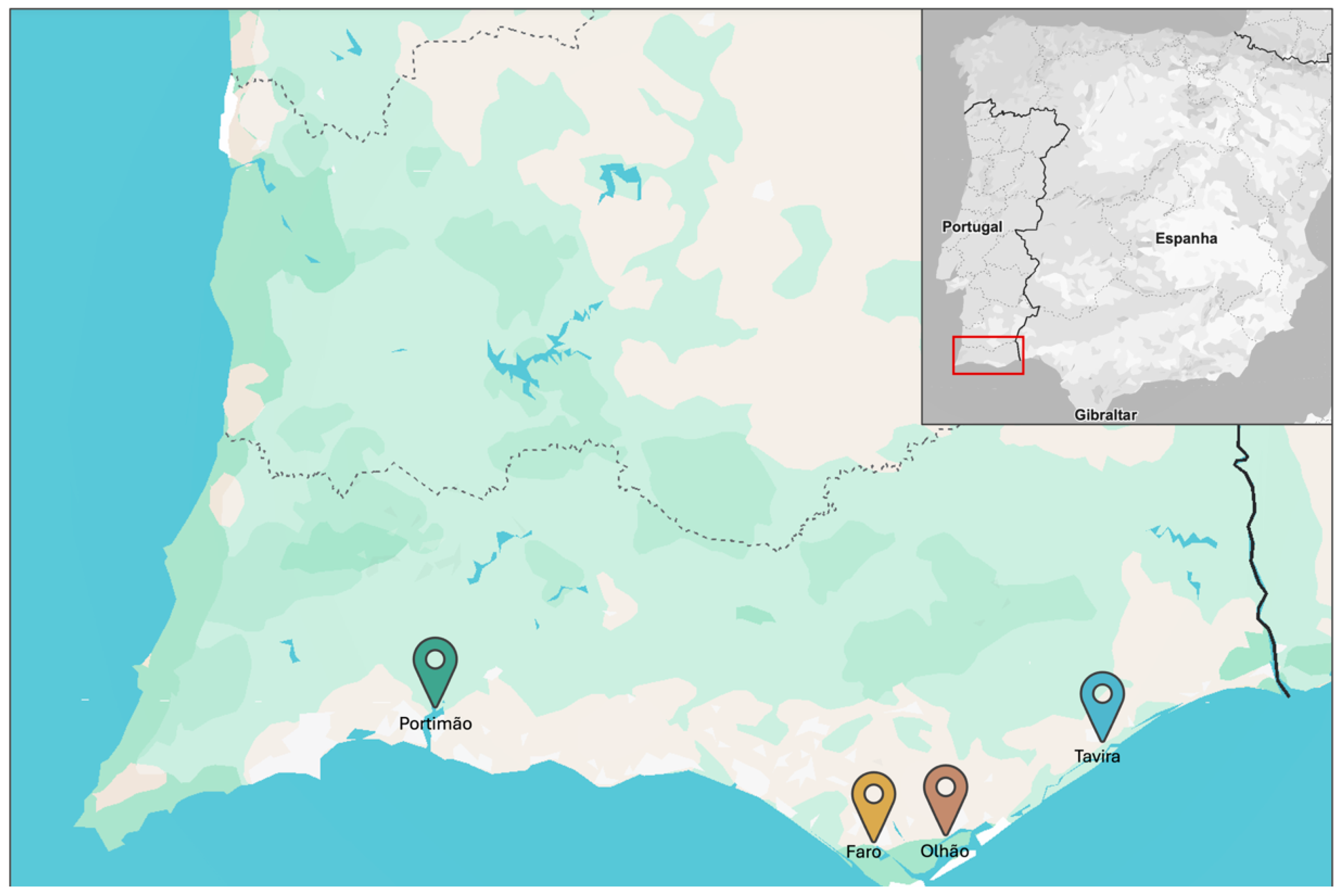 Applsci 15 07625 g001