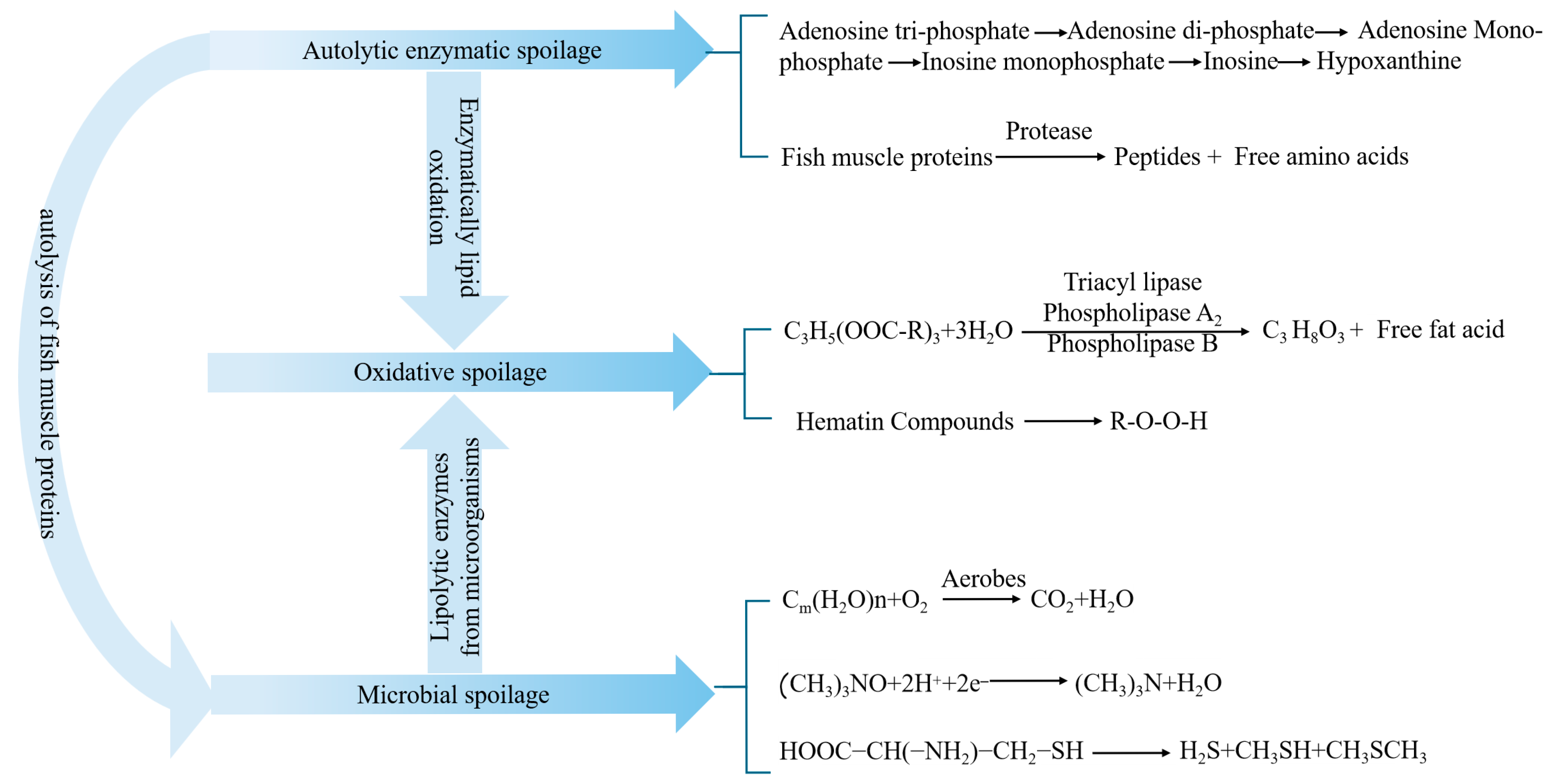 Applsci 15 07639 g001 Applsci 15 07639 g001