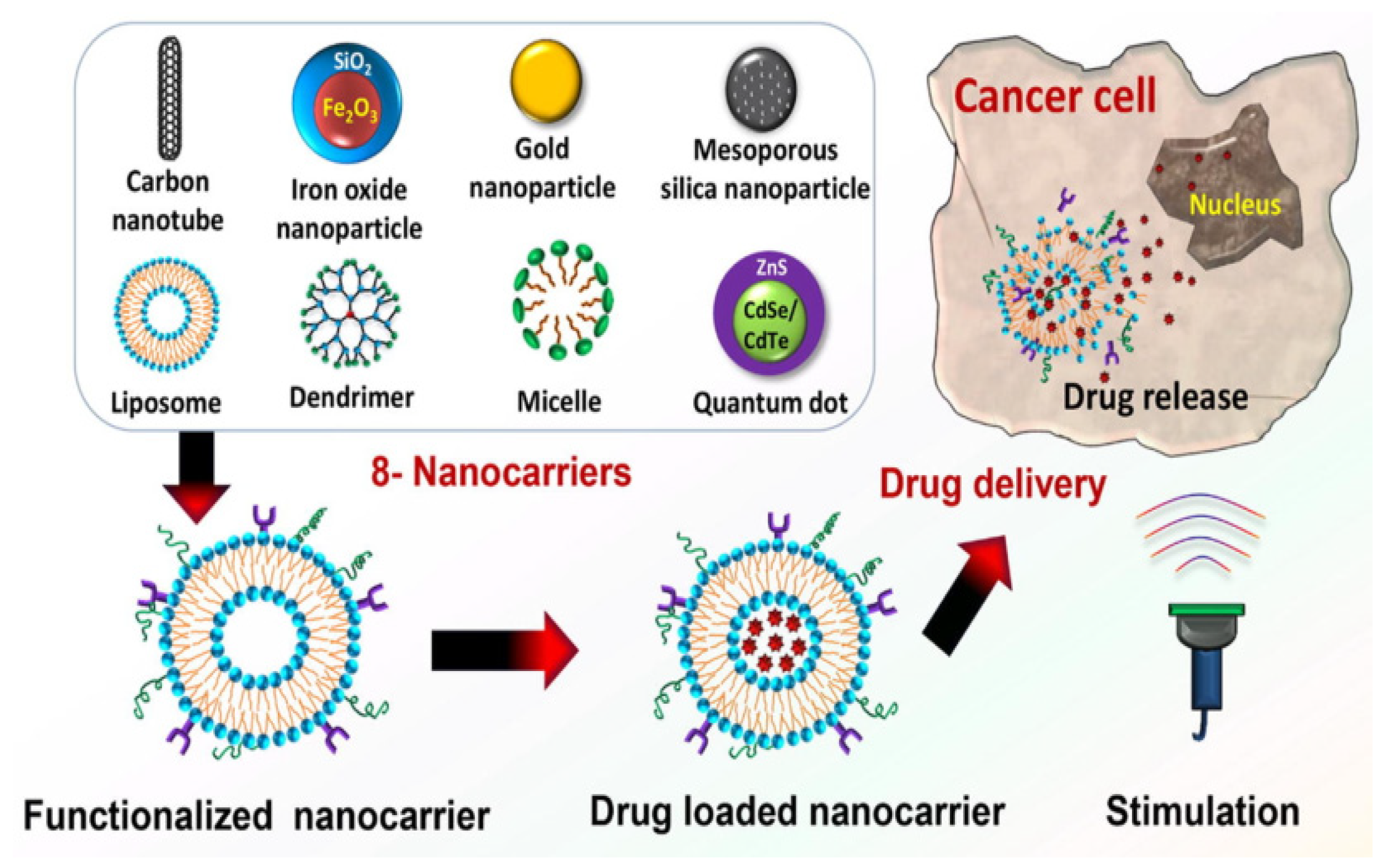 Applsci 15 07649 g002