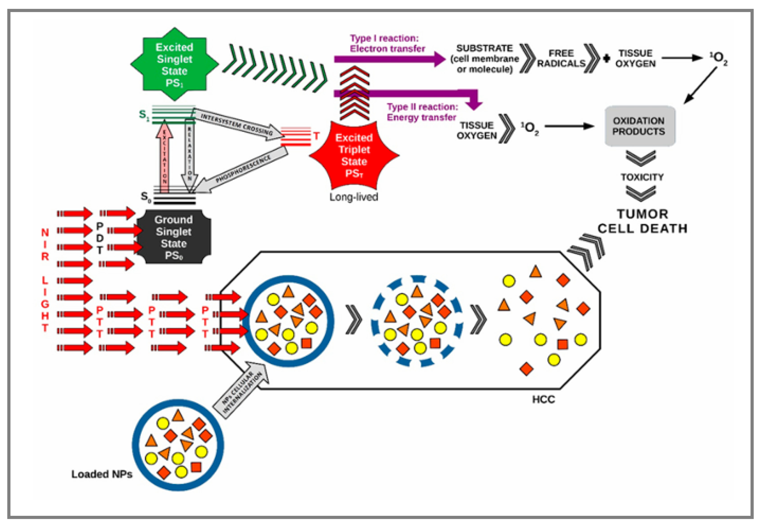 Applsci 15 07649 g004