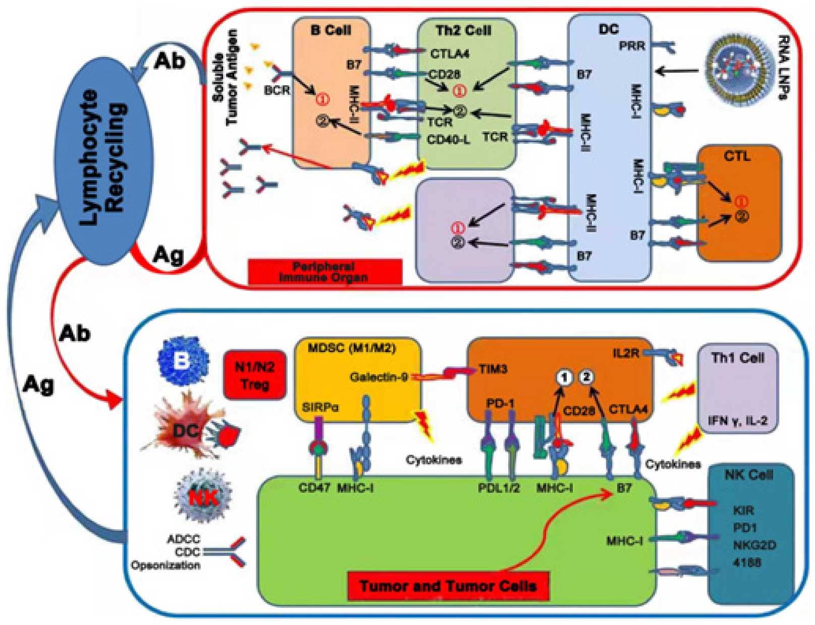 Applsci 15 07649 g005