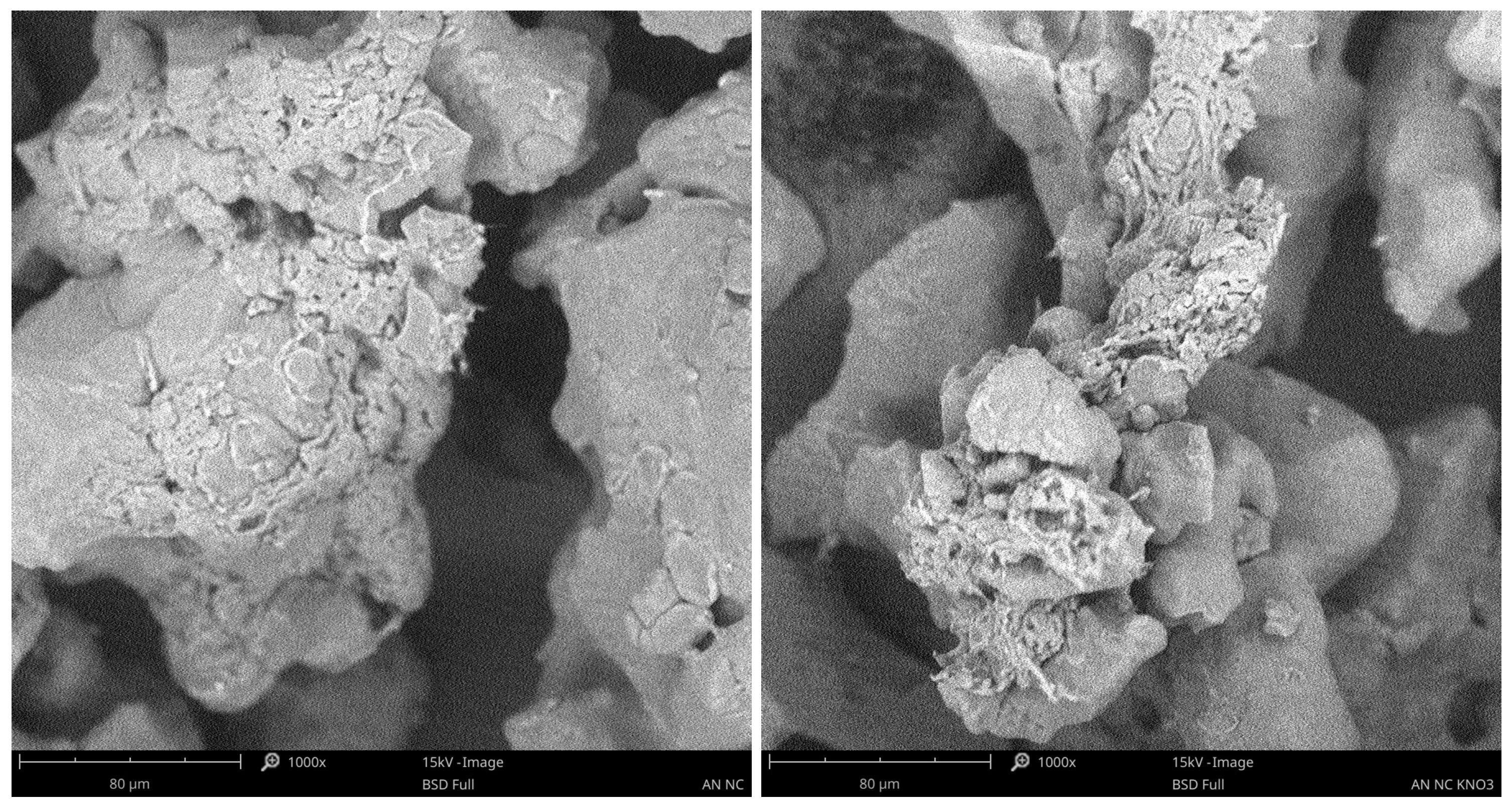 Applsci 15 07656 g003