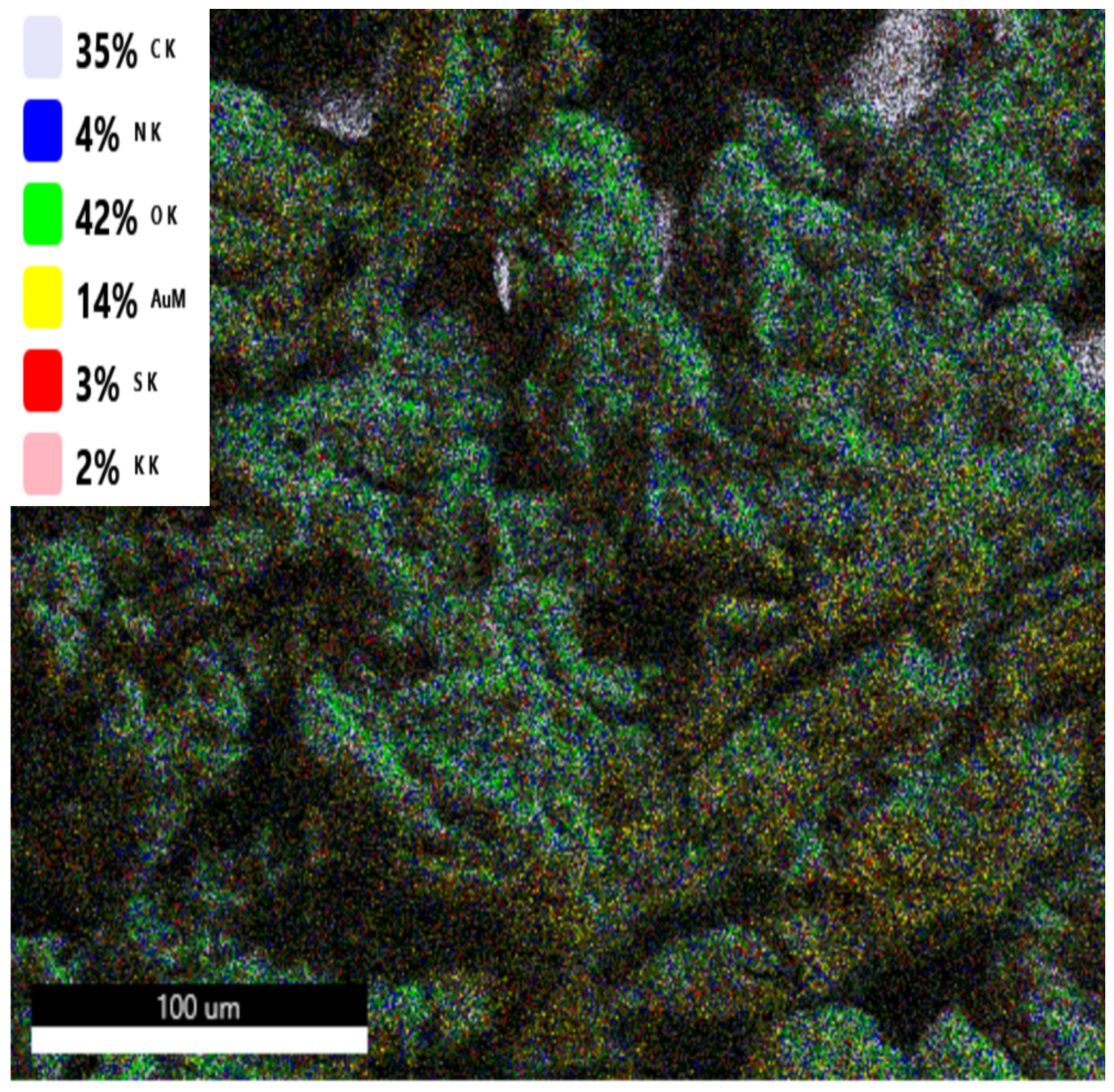 Applsci 15 07656 g005