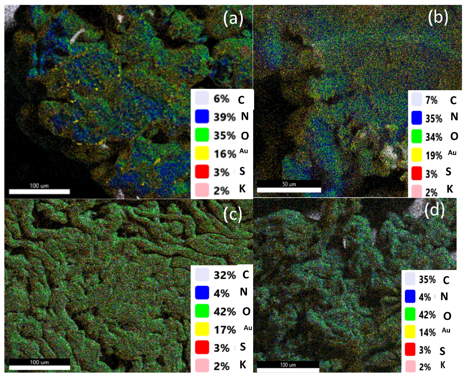 Applsci 15 07656 g0a1