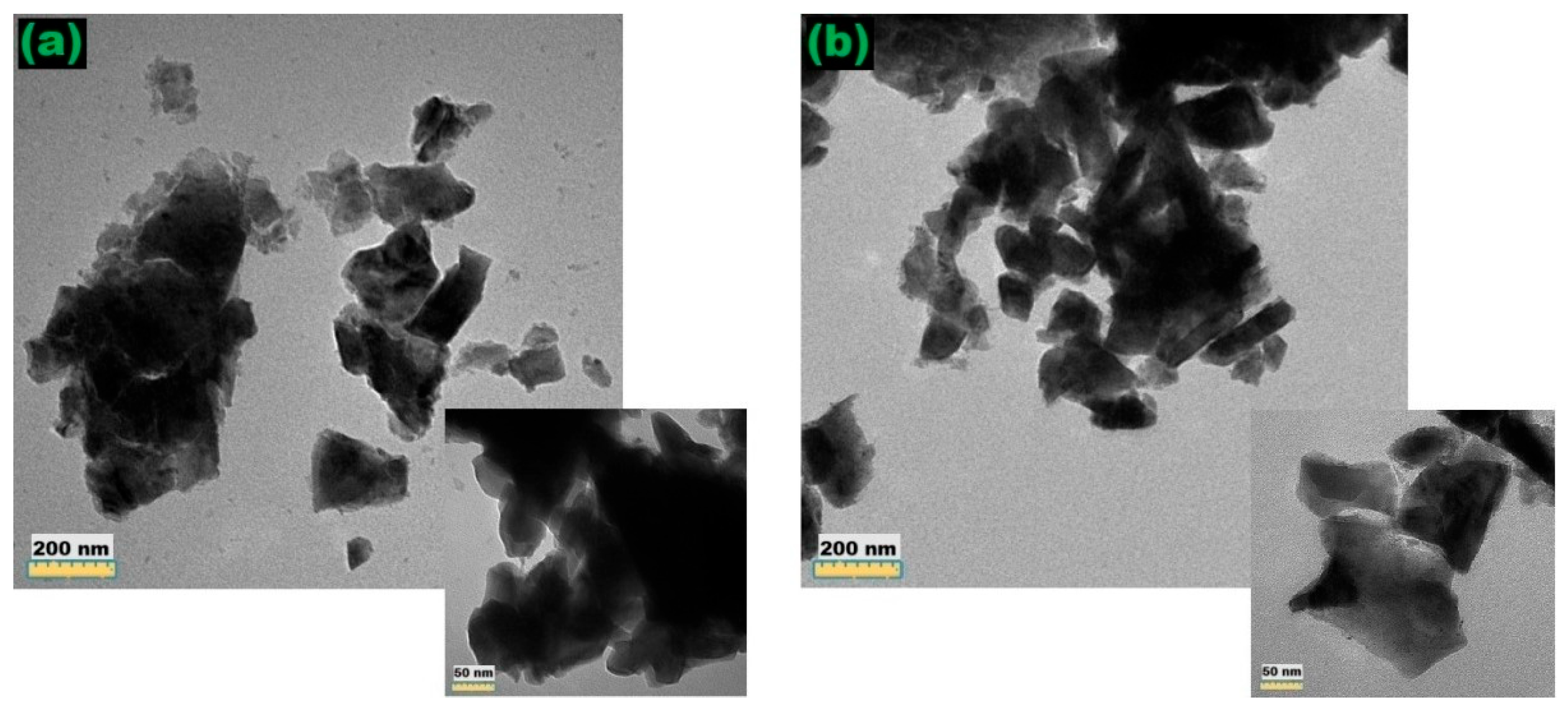 Applsci 15 07665 g008