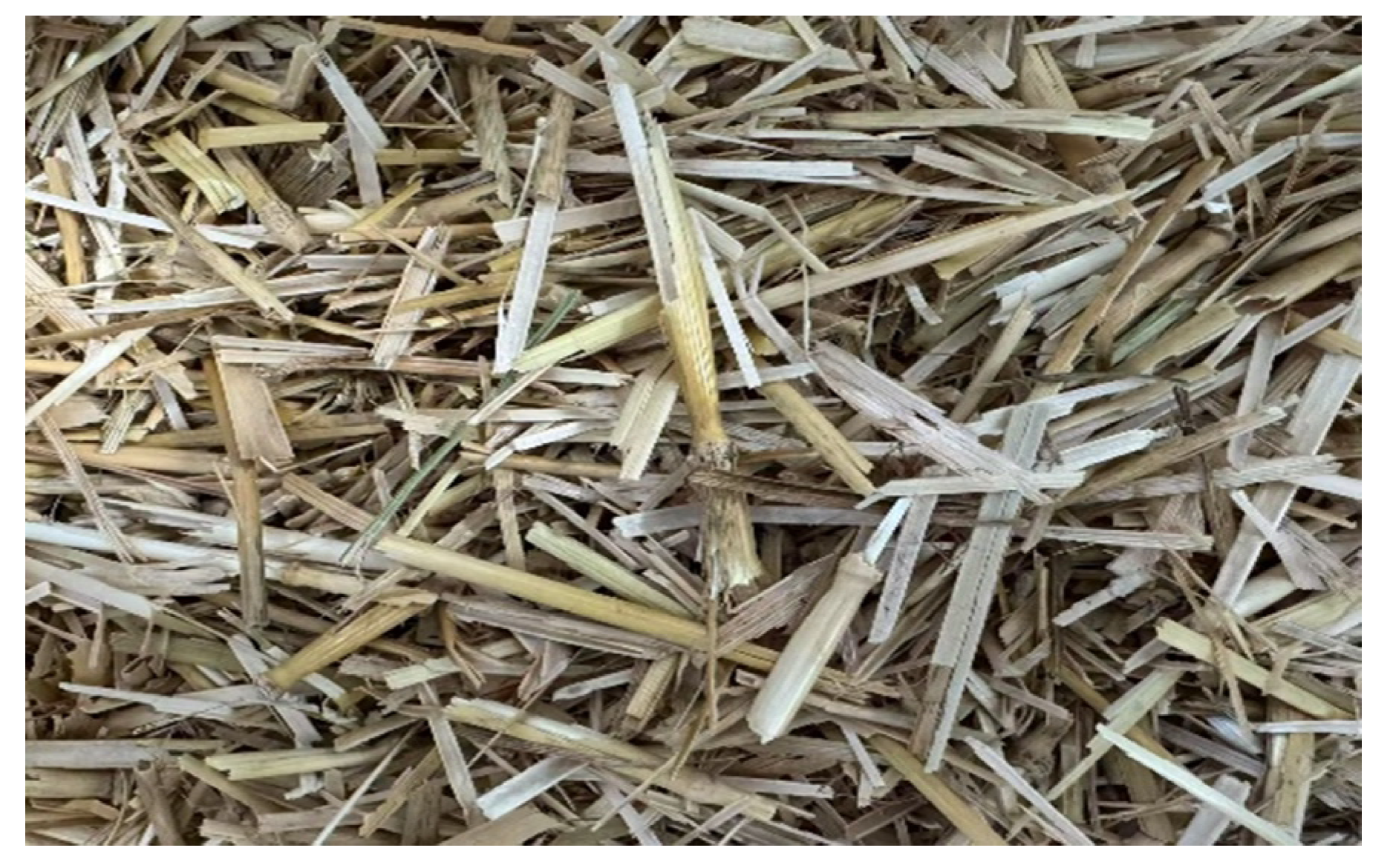 Applsci 15 07668 g001