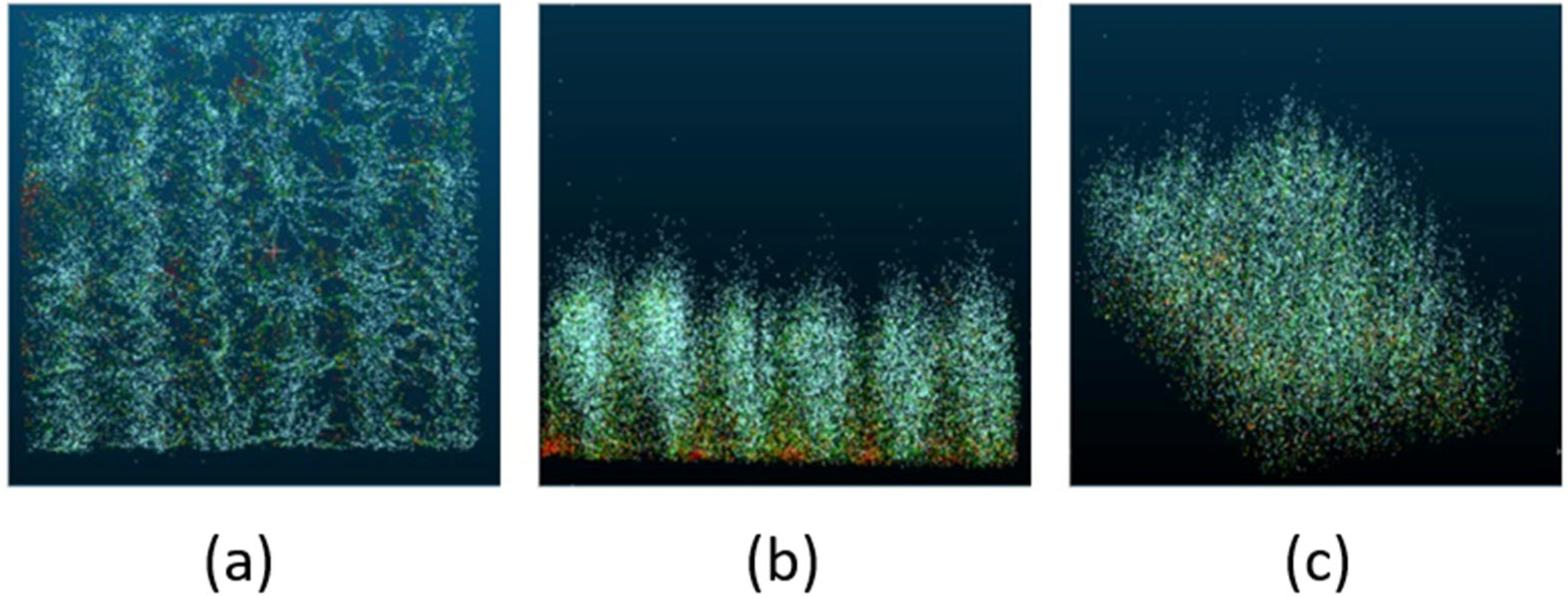 Applsci 15 07671 g001