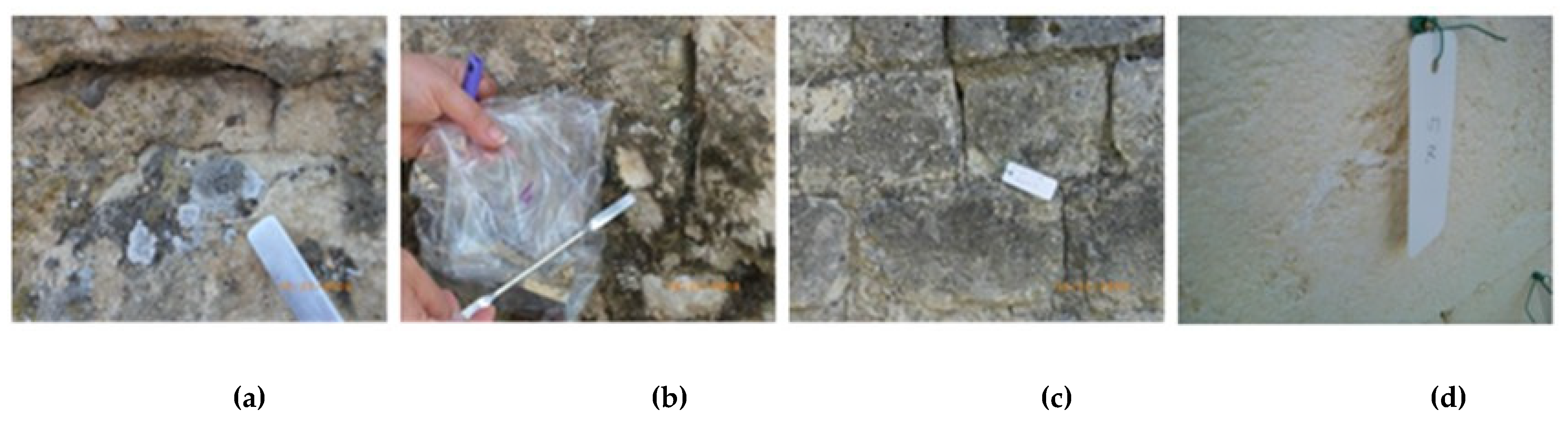 Applsci 15 07741 g002