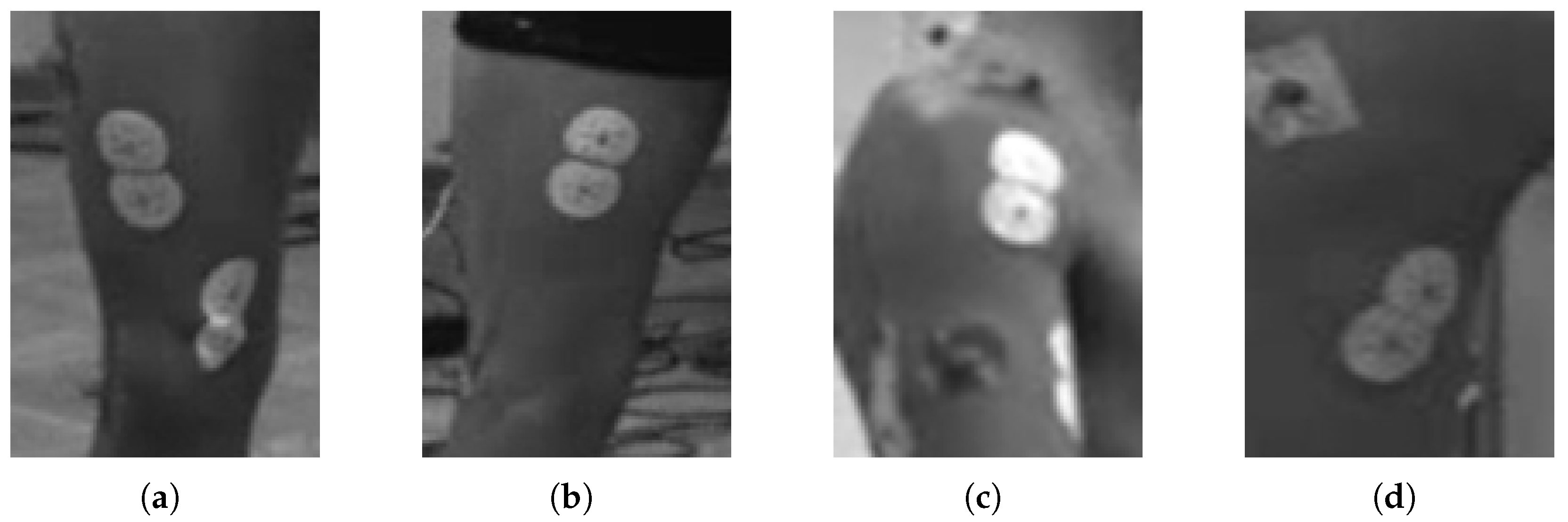 Applsci 15 07749 g002