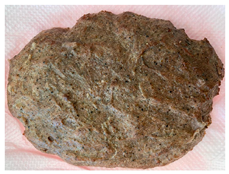 Applsci 15 07753 i003 Applsci 15 07753 i003