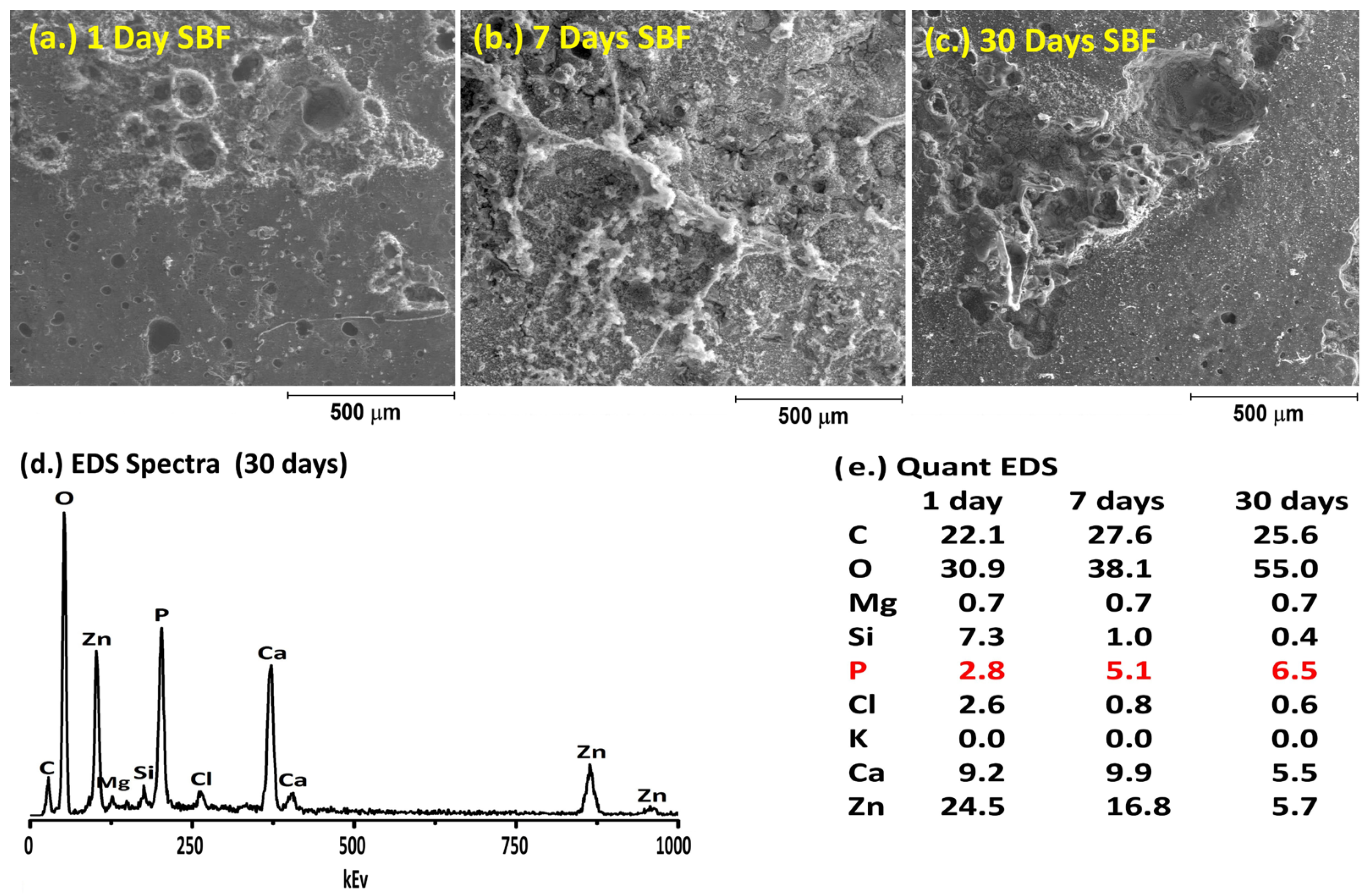 Applsci 15 07756 g004