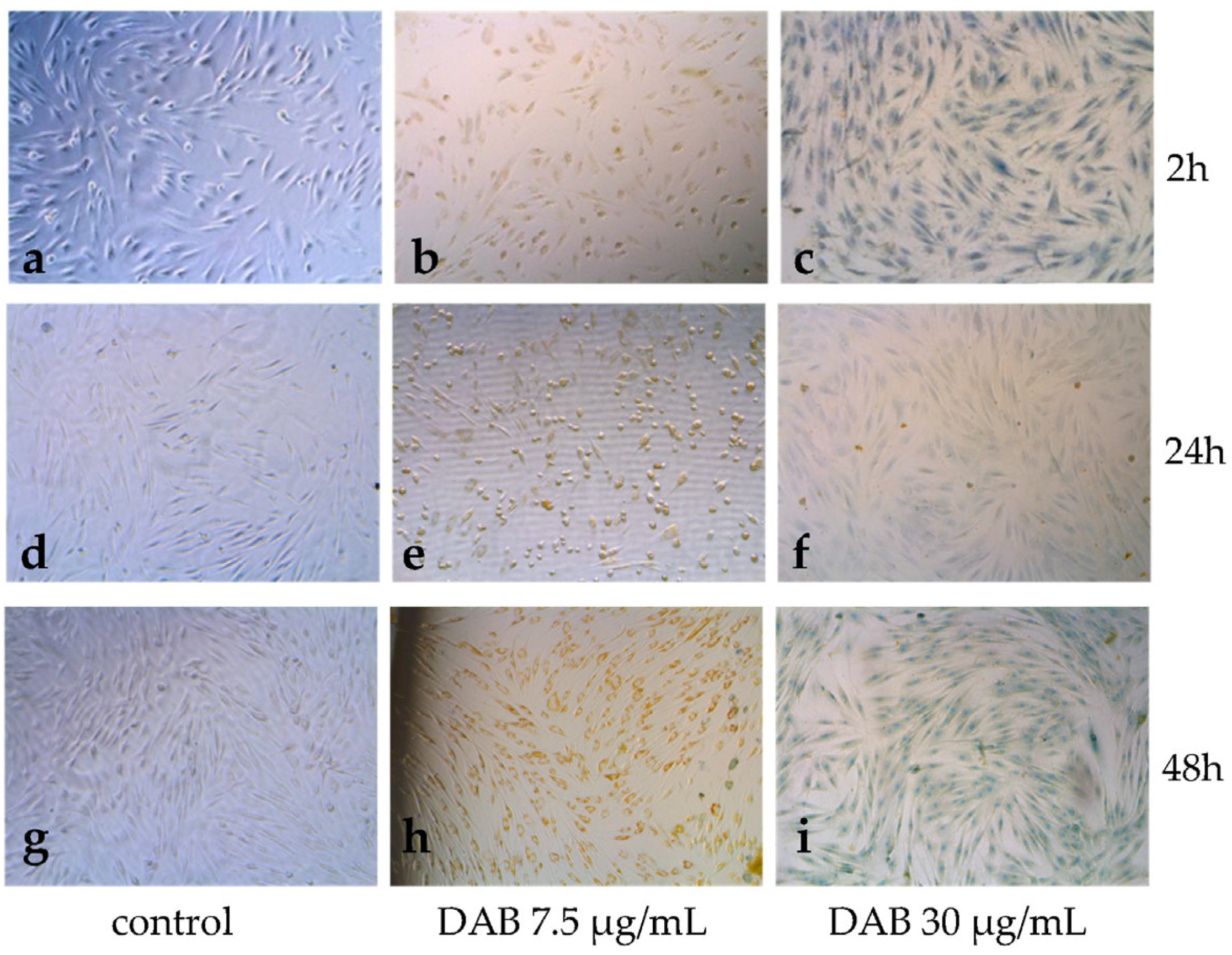 Applsci 15 07764 g005