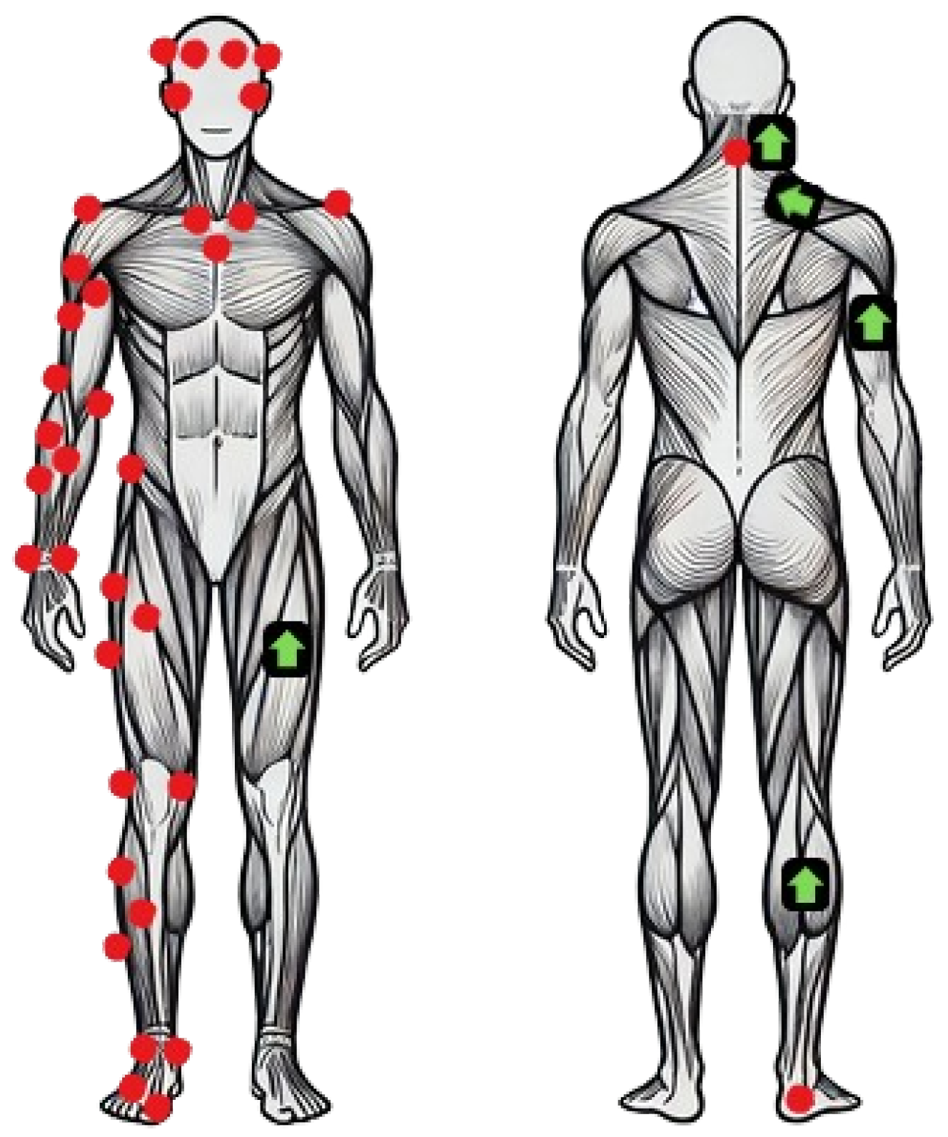 Applsci 15 07775 g001