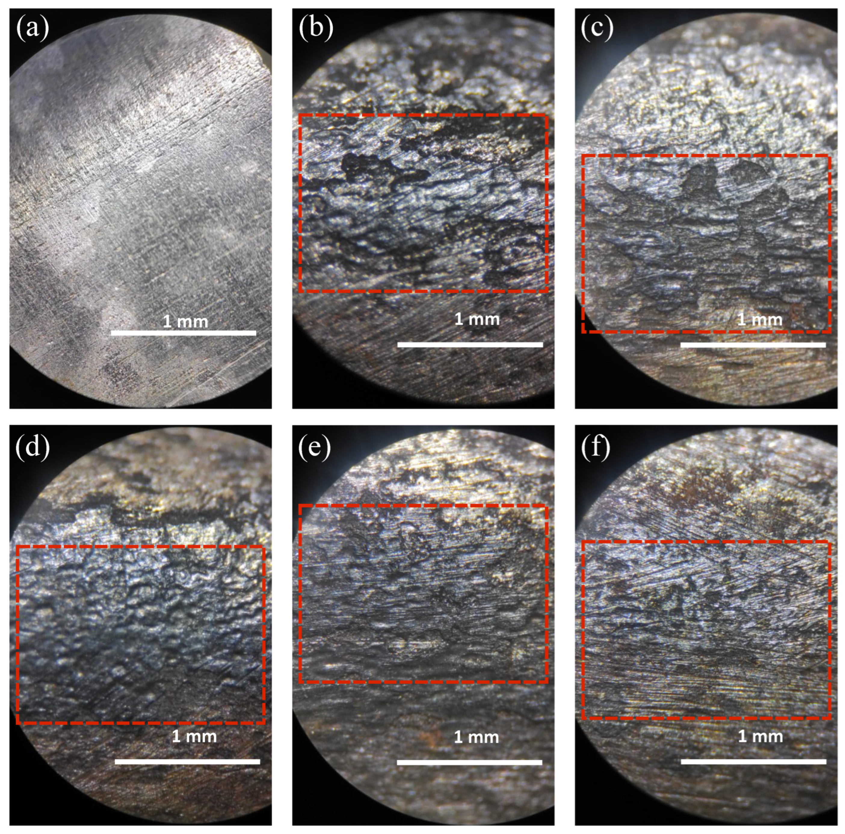 Applsci 15 07792 g005