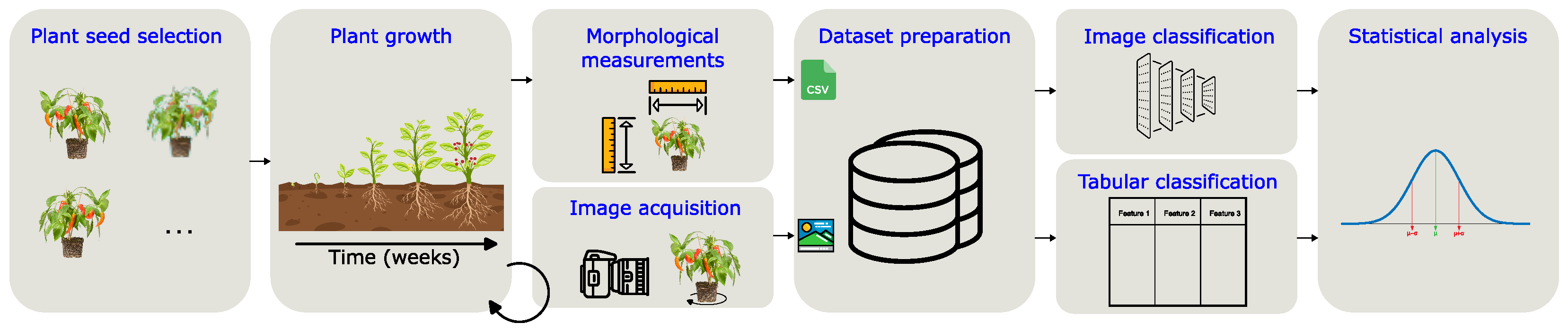 Applsci 15 07801 g001