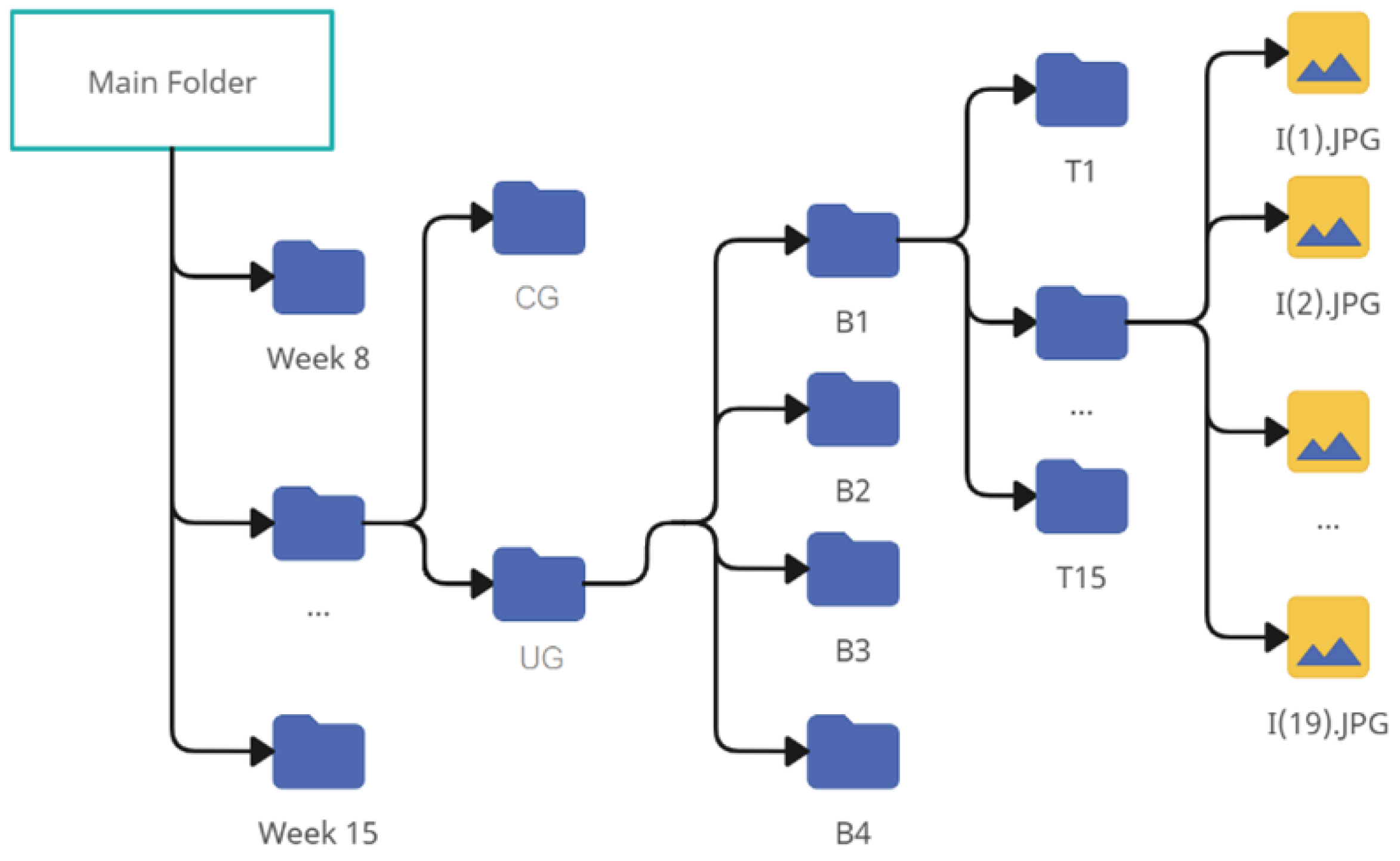 Applsci 15 07801 g003