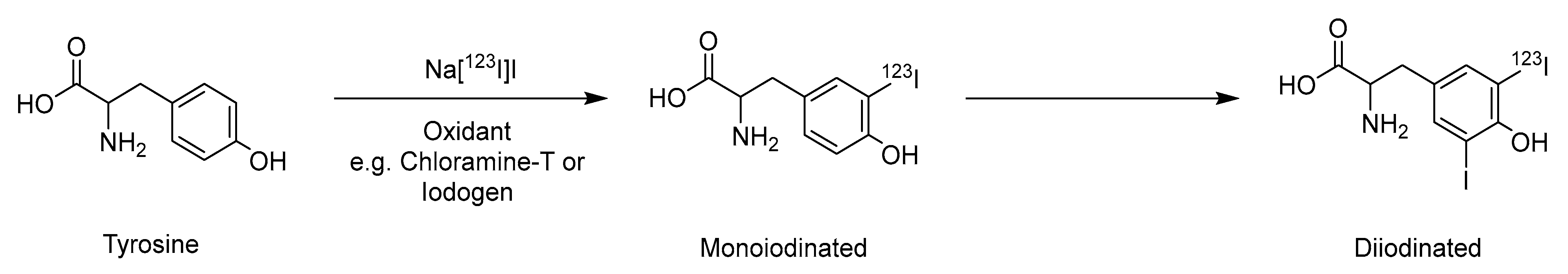 Applsci 15 07803 g001 Applsci 15 07803 g001