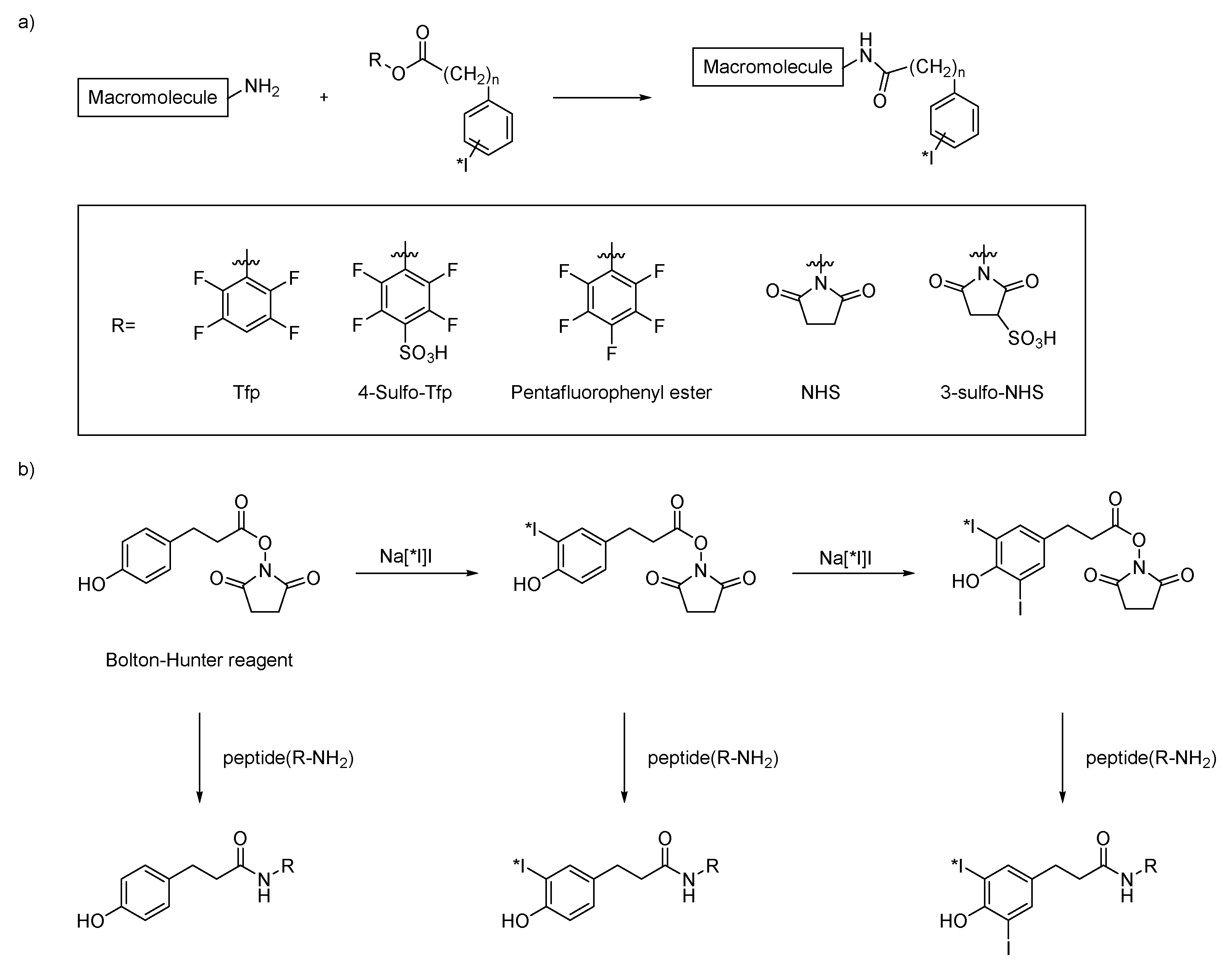 Applsci 15 07803 g004 Applsci 15 07803 g004