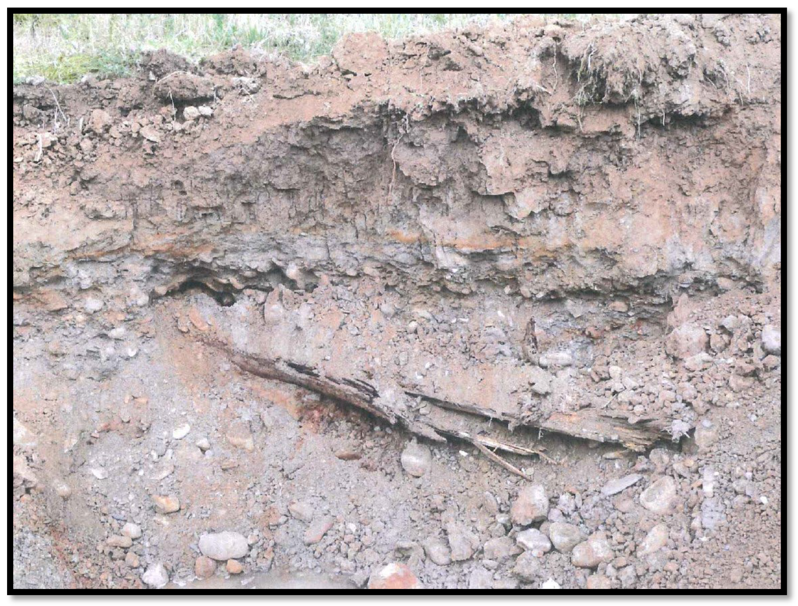 Applsci 15 07811 g024