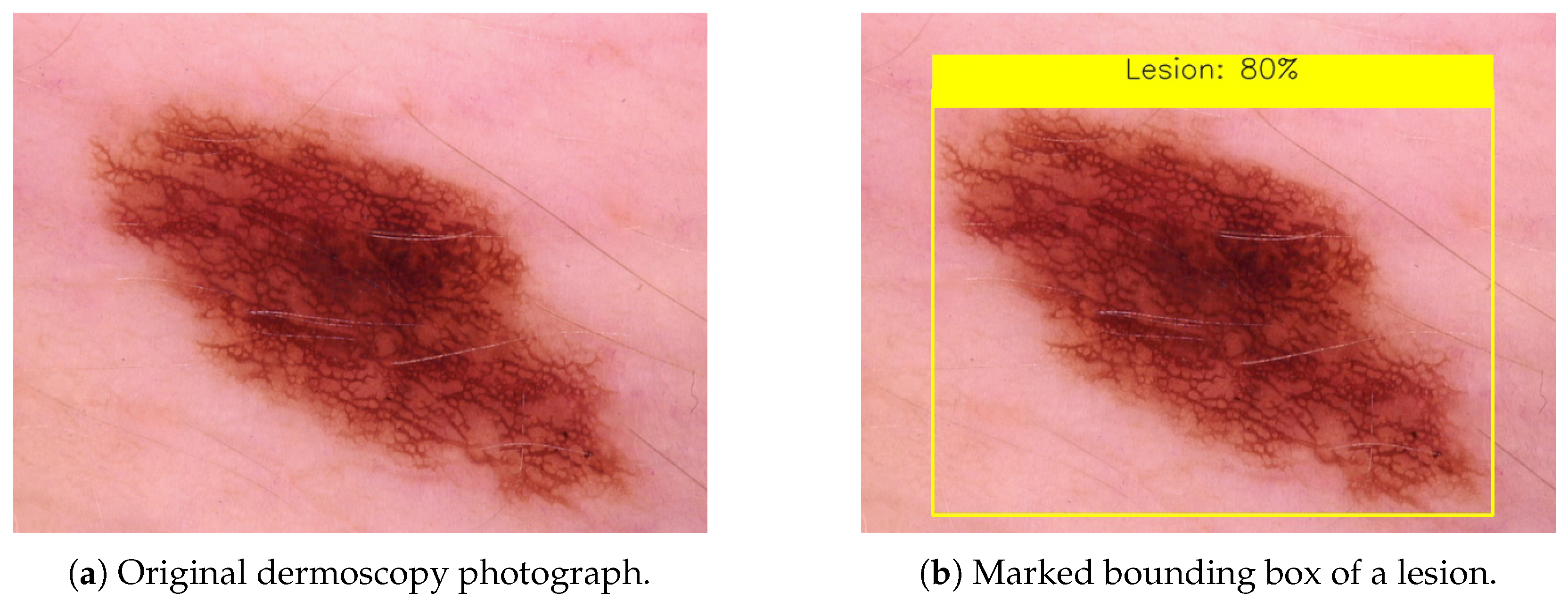 Applsci 15 07856 g001