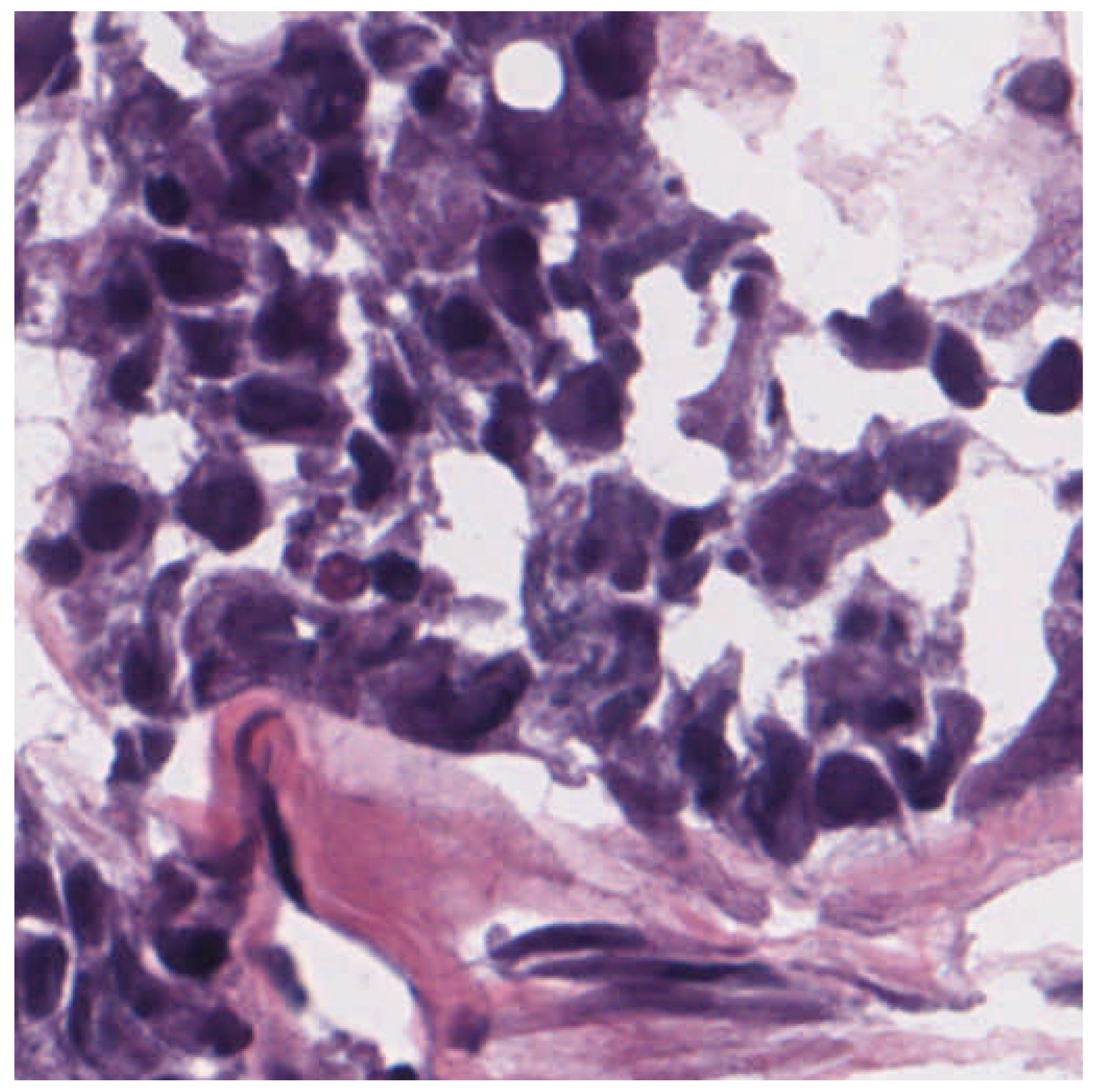 Applsci 15 07856 g003