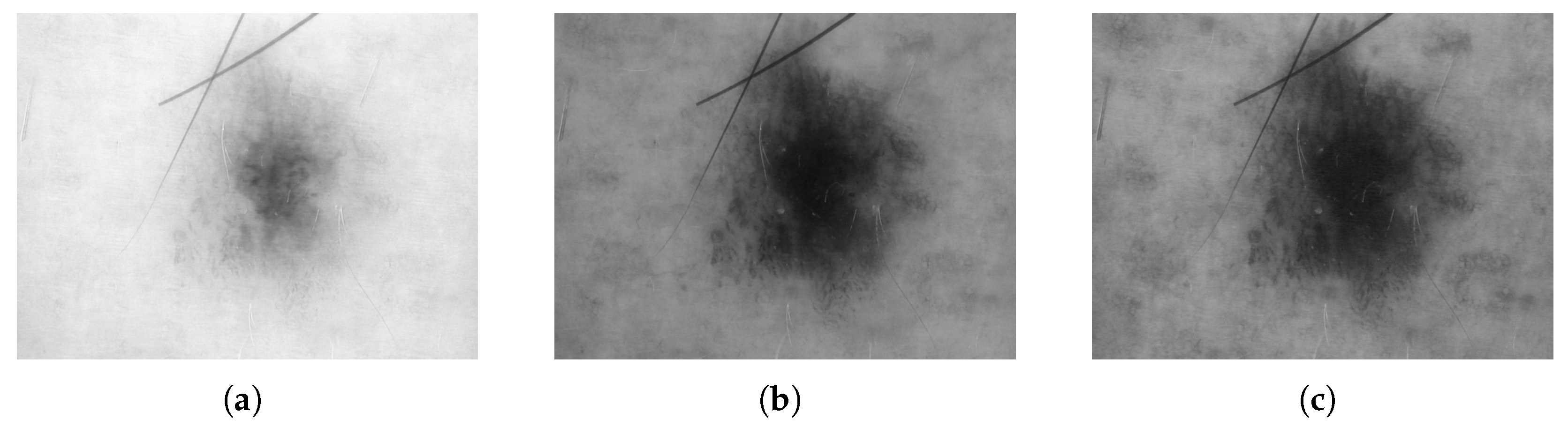 Applsci 15 07856 g005a